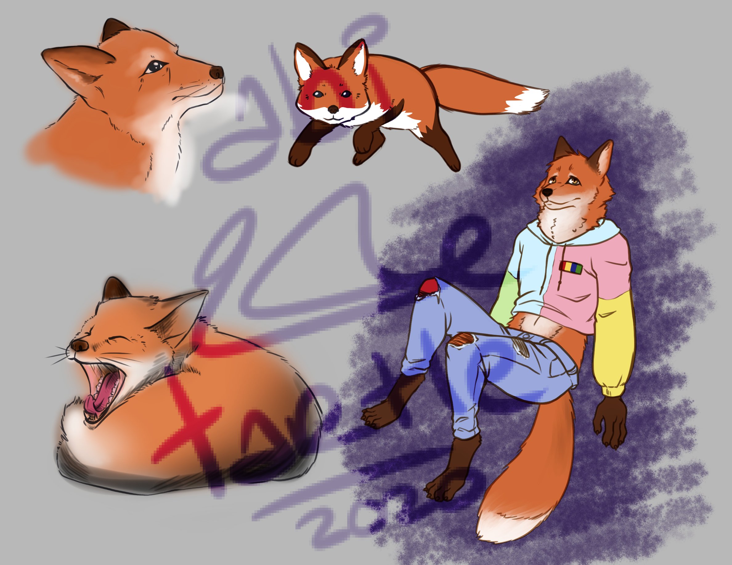 Fox Sketches 9_6_2020.jpg