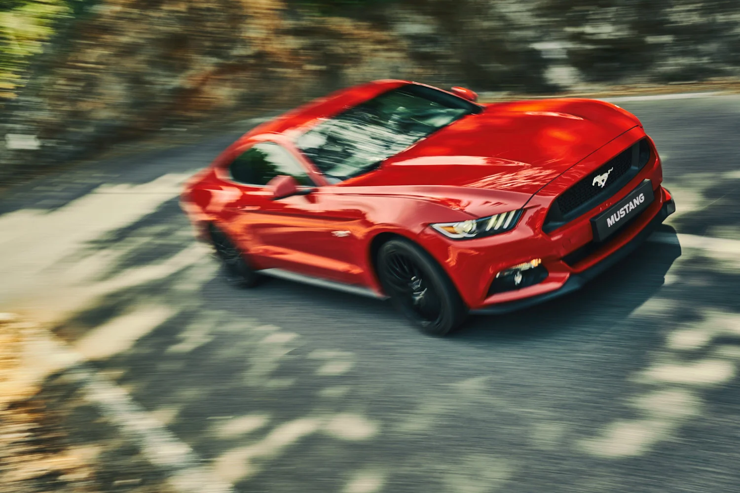 mustang2.jpg