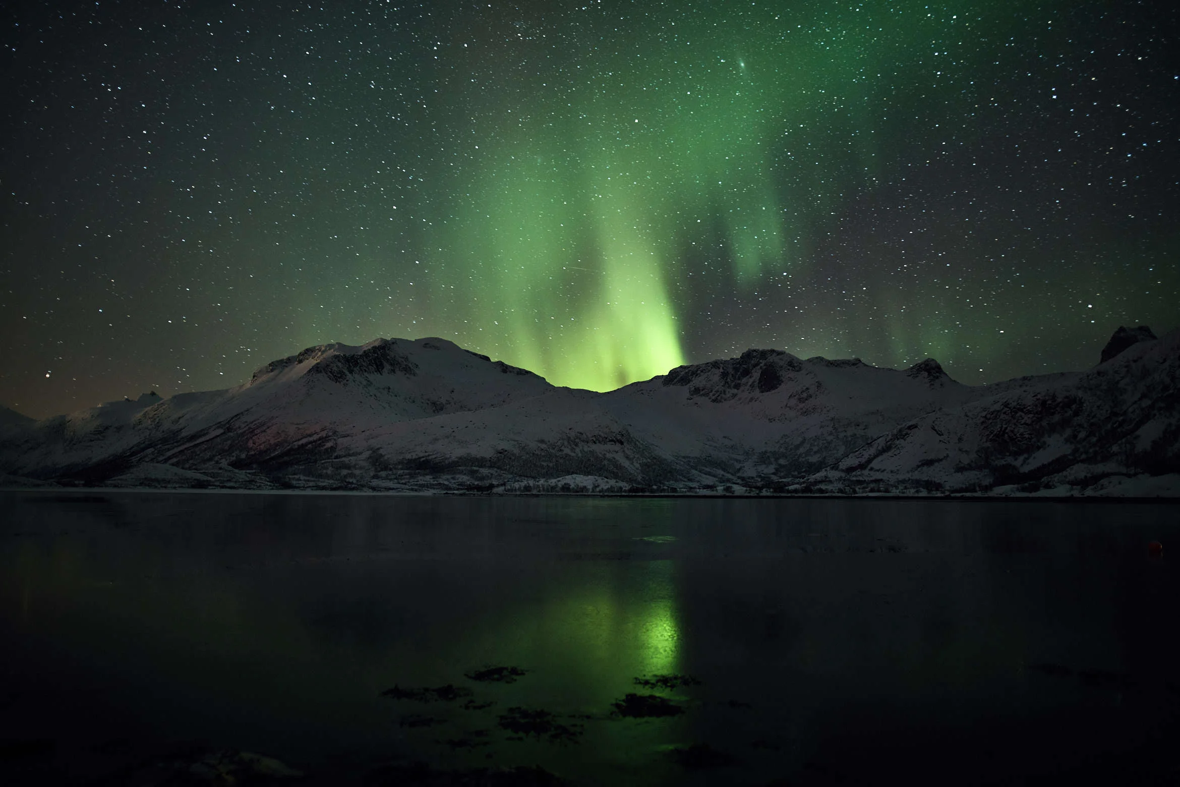 NorthernLights_Norway_074.jpg