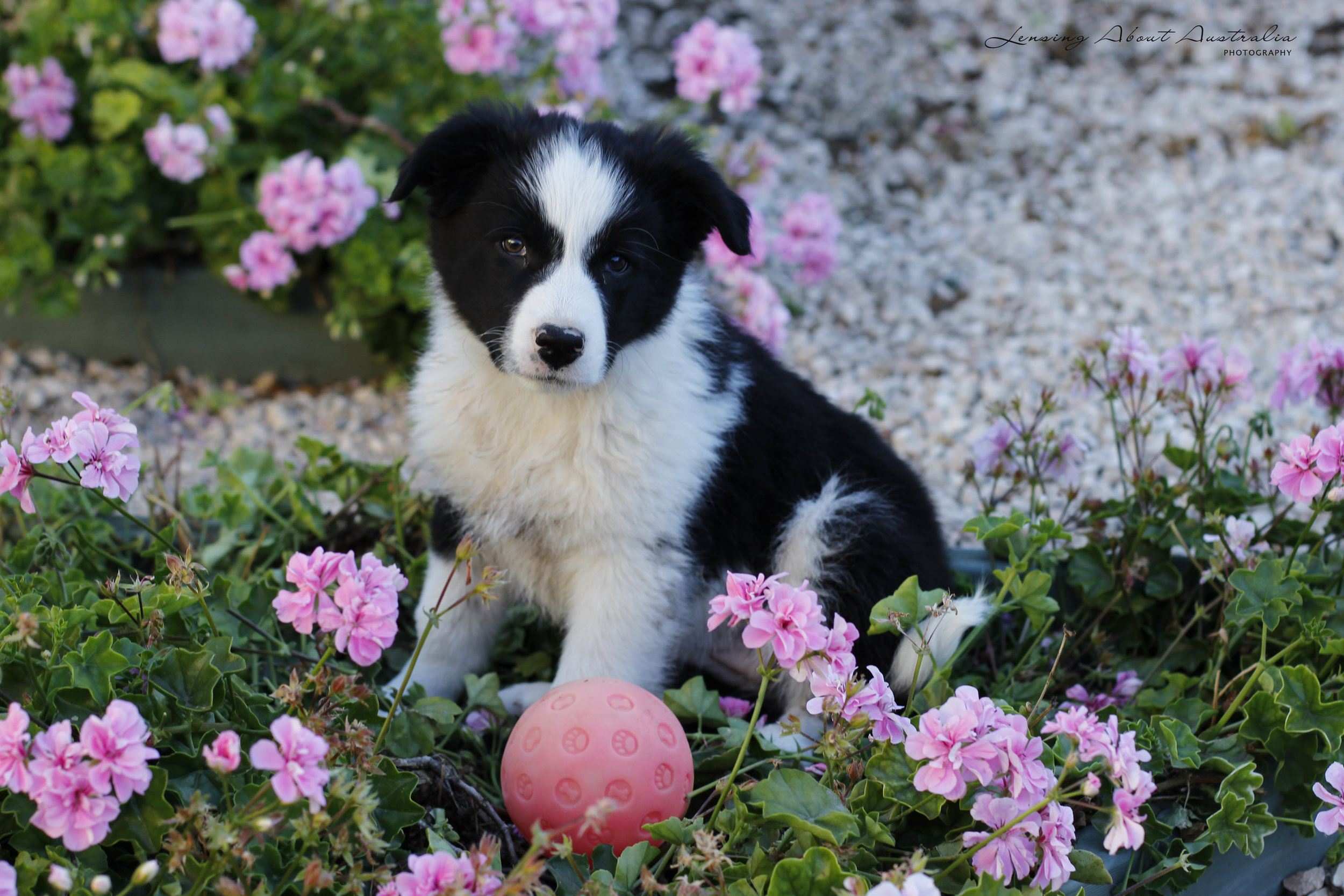 Baby Willow.jpg