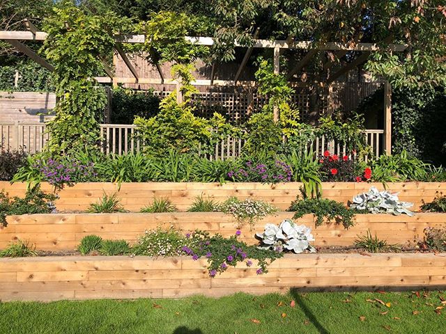 Prettiest garden πΎπwe created this pretty stepped garden landscape •
•
•
#garden #gardening #summer #winter #season #sun #pretty #landscape #interior #design #designer #green #client #primrosehill #london #hampstead #belsizepark #ins