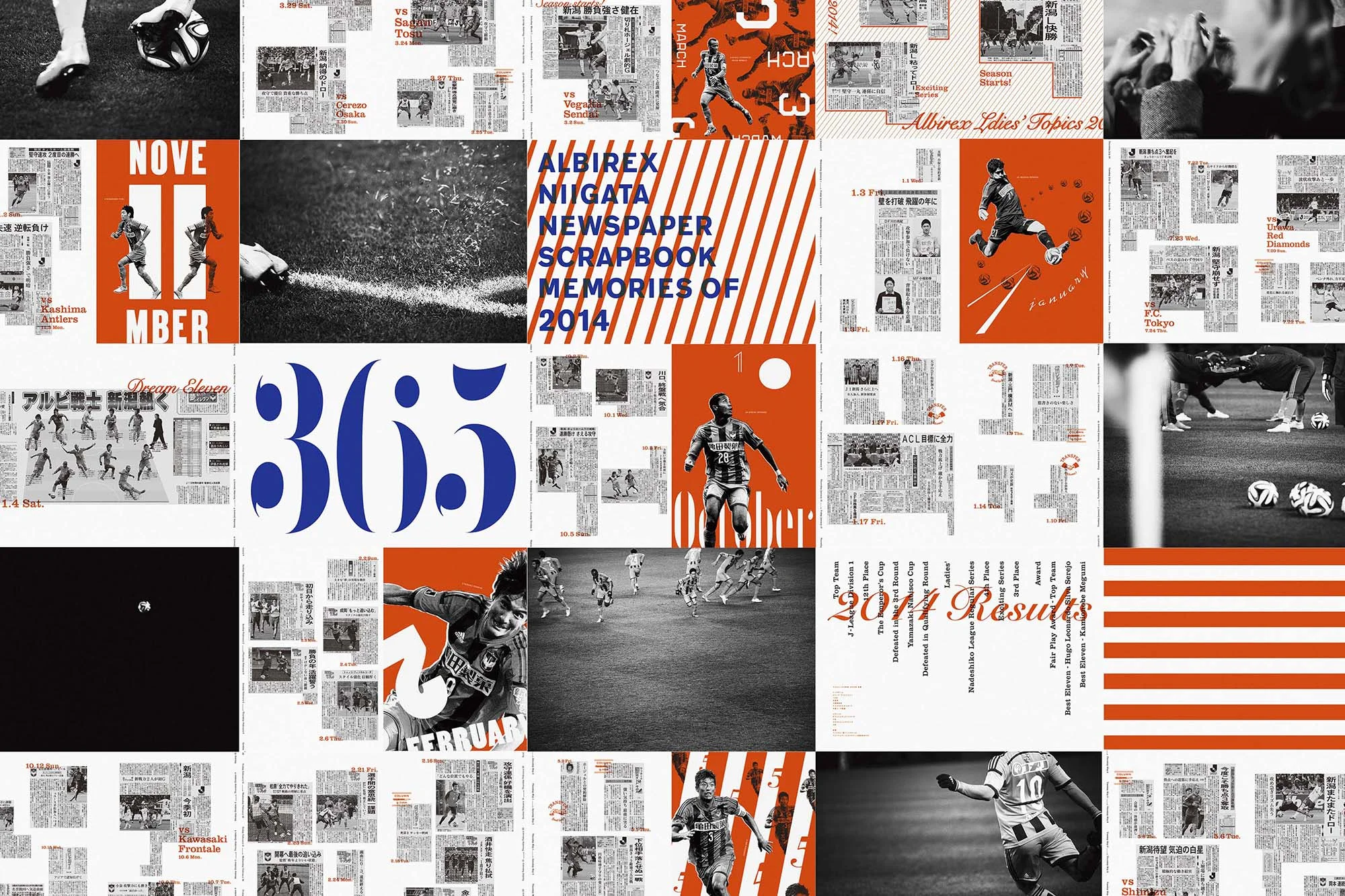 alb_2015_25.jpg