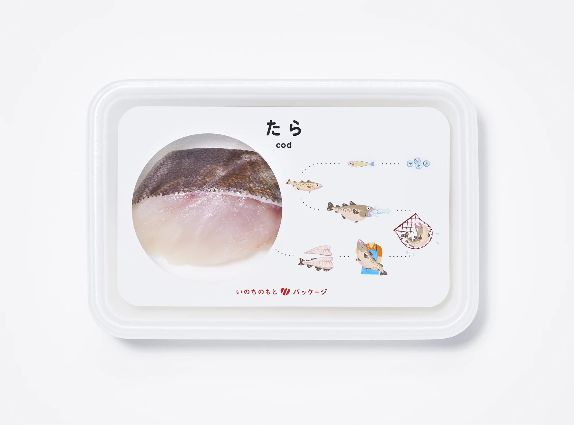 ajinomoto_03.jpg