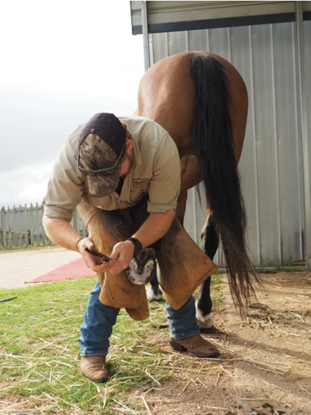 Ben Shoeing 1.jpg
