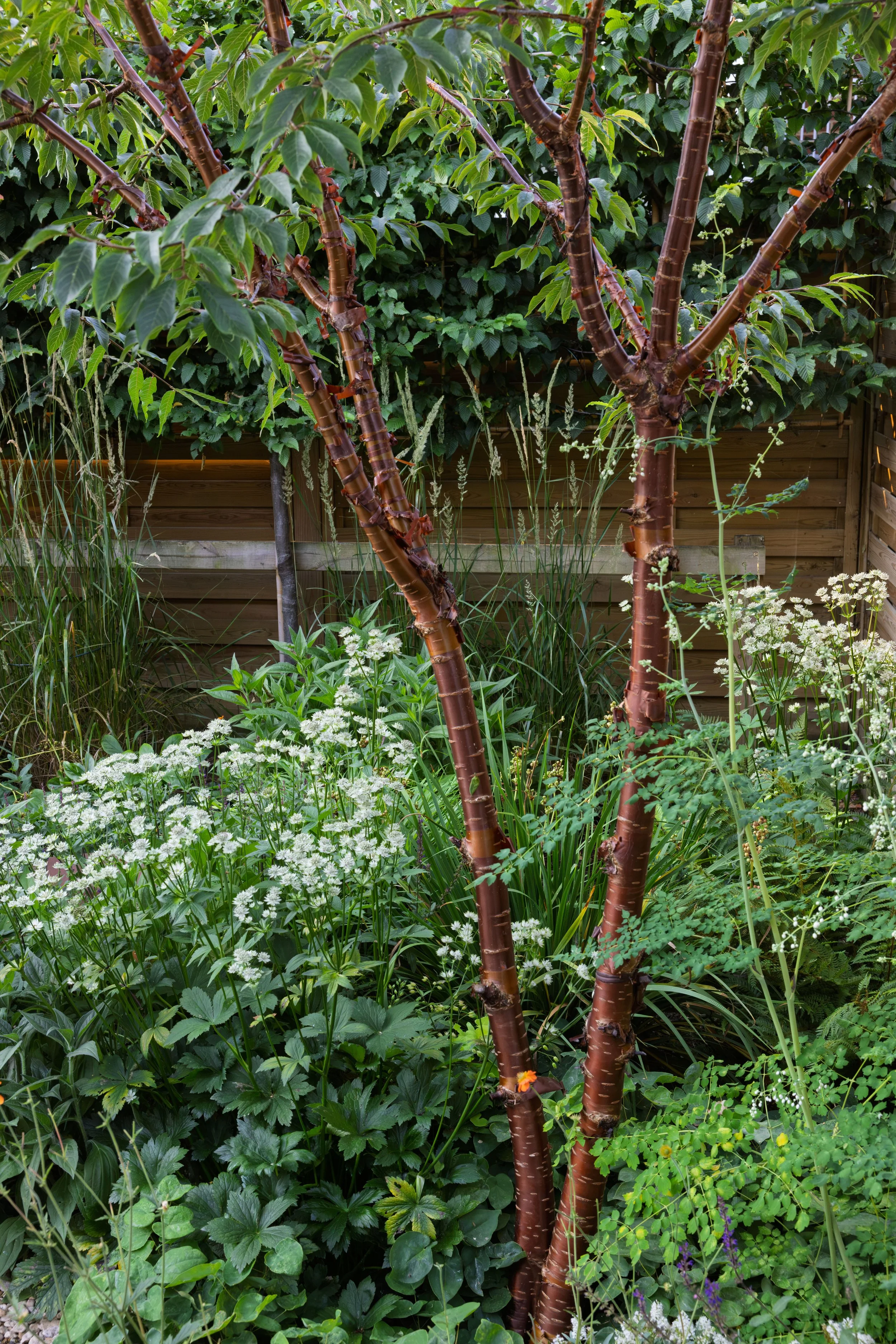 Naturalistic planting