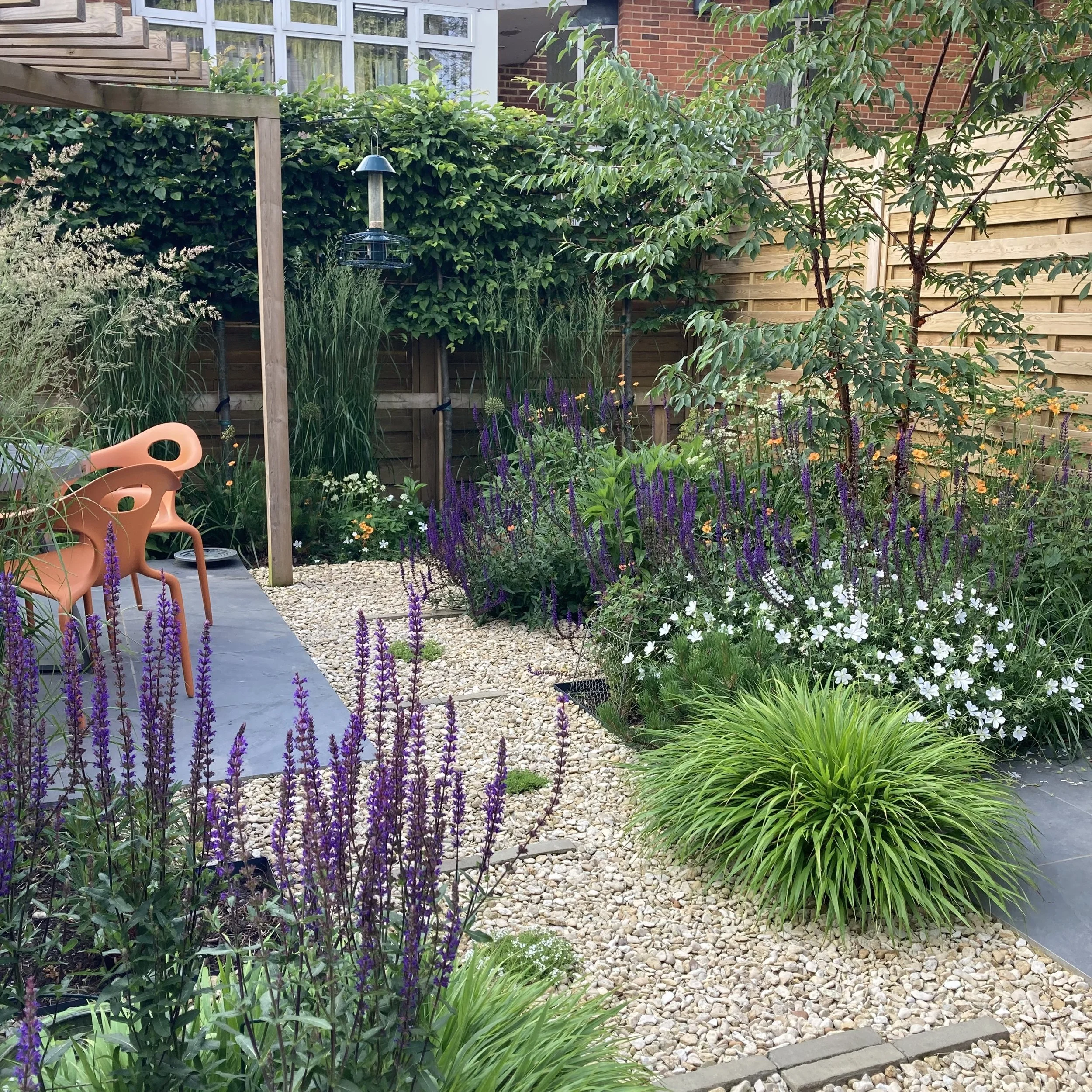 Planting for a sunny garden, Great Missenden