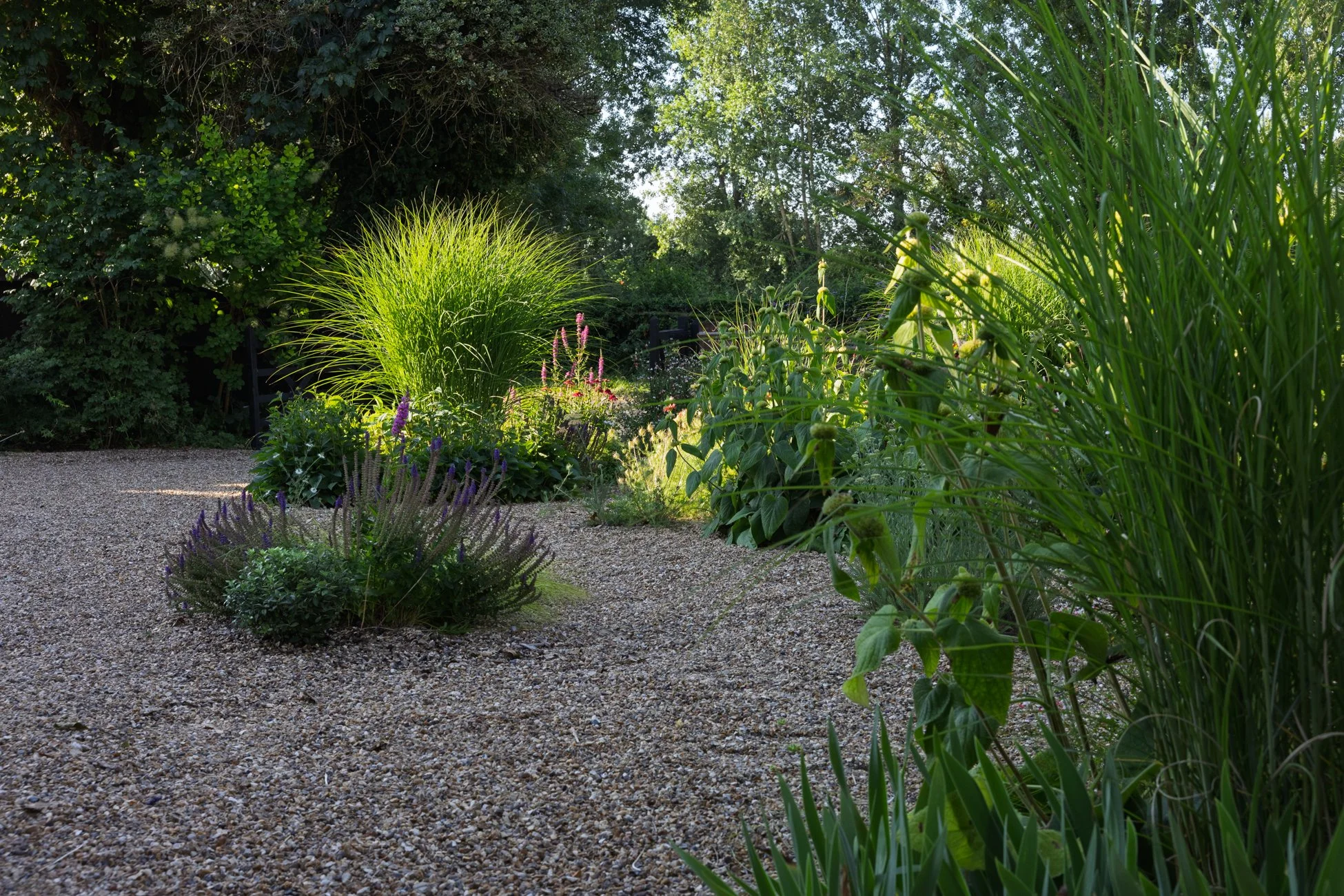 Gravel Garden Design, Little Kingshill