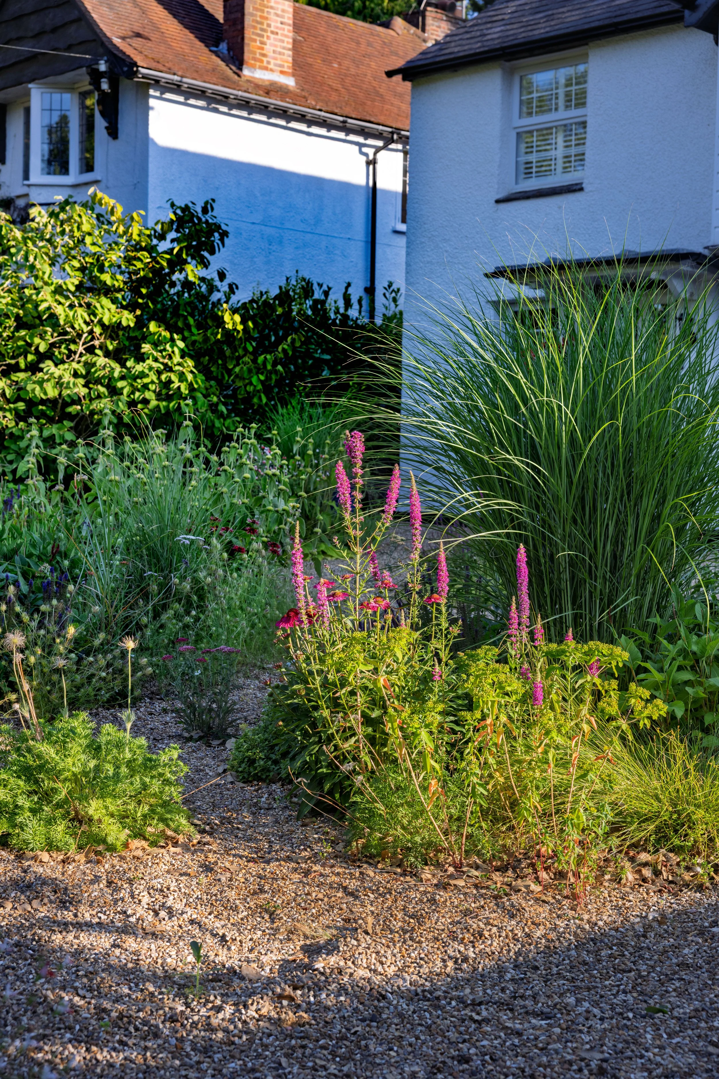 Naturalistic planting in gravel, Great Missenden