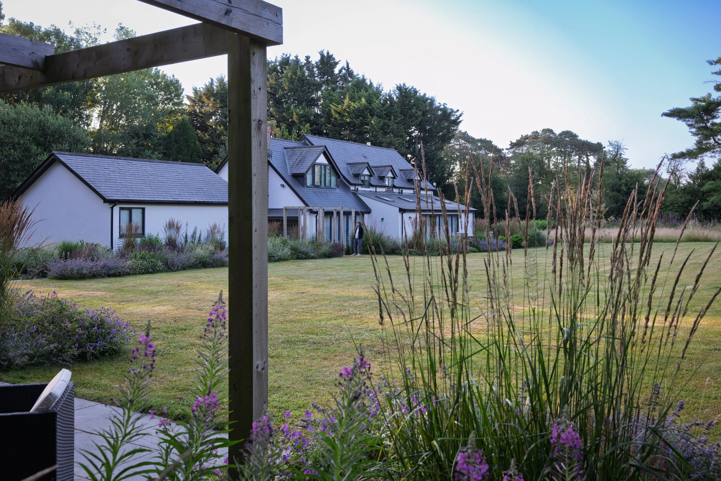 View to the house through the plants