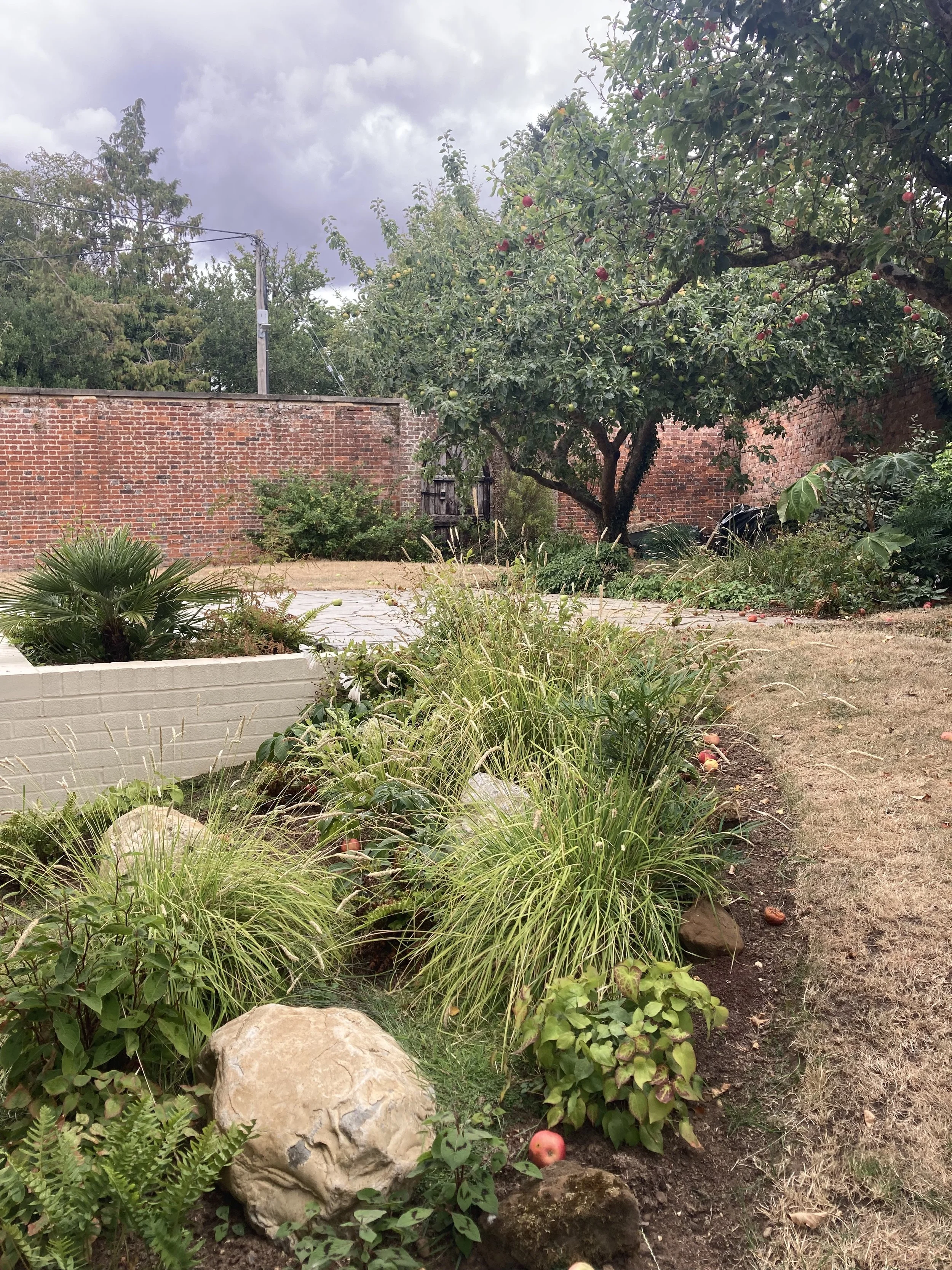 Naturalistic planting design, Buckinghamshire