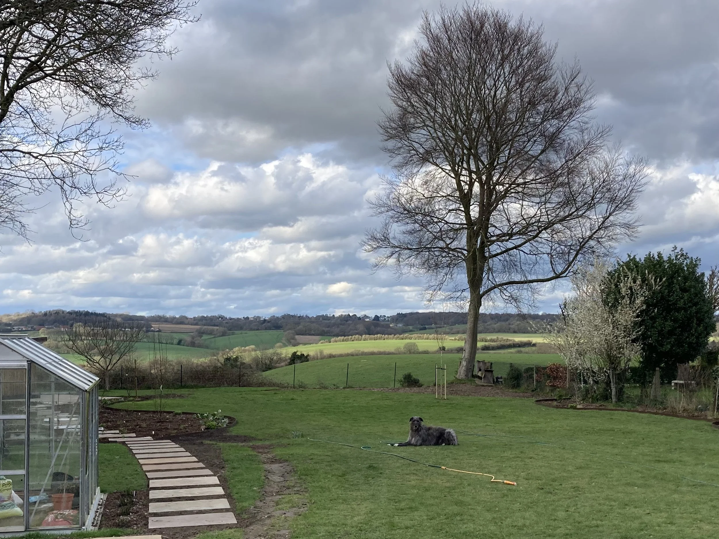 Making use of the view; Garden Design Beaconsfield