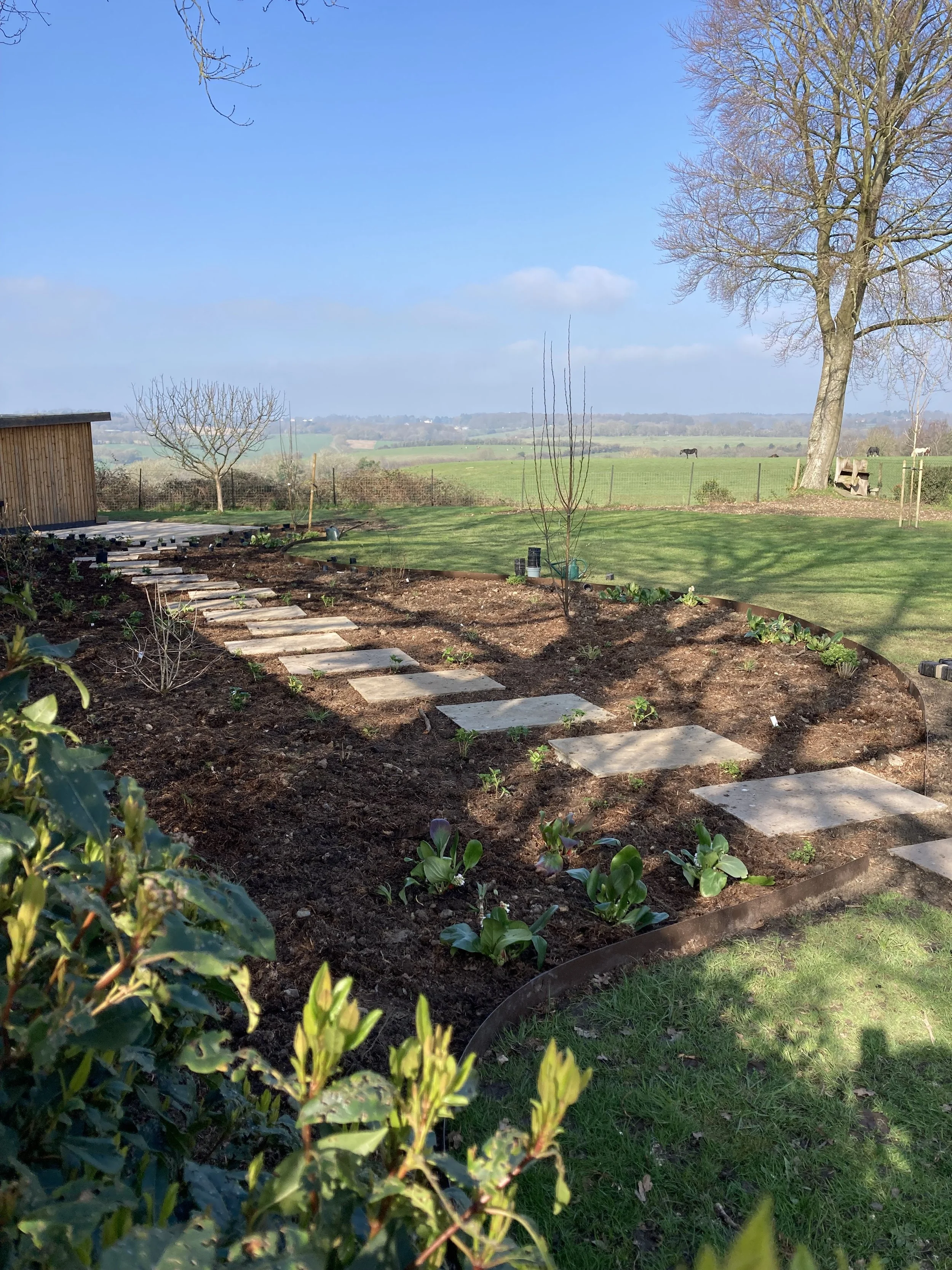 Planting a large country garden, Beaconsfield
