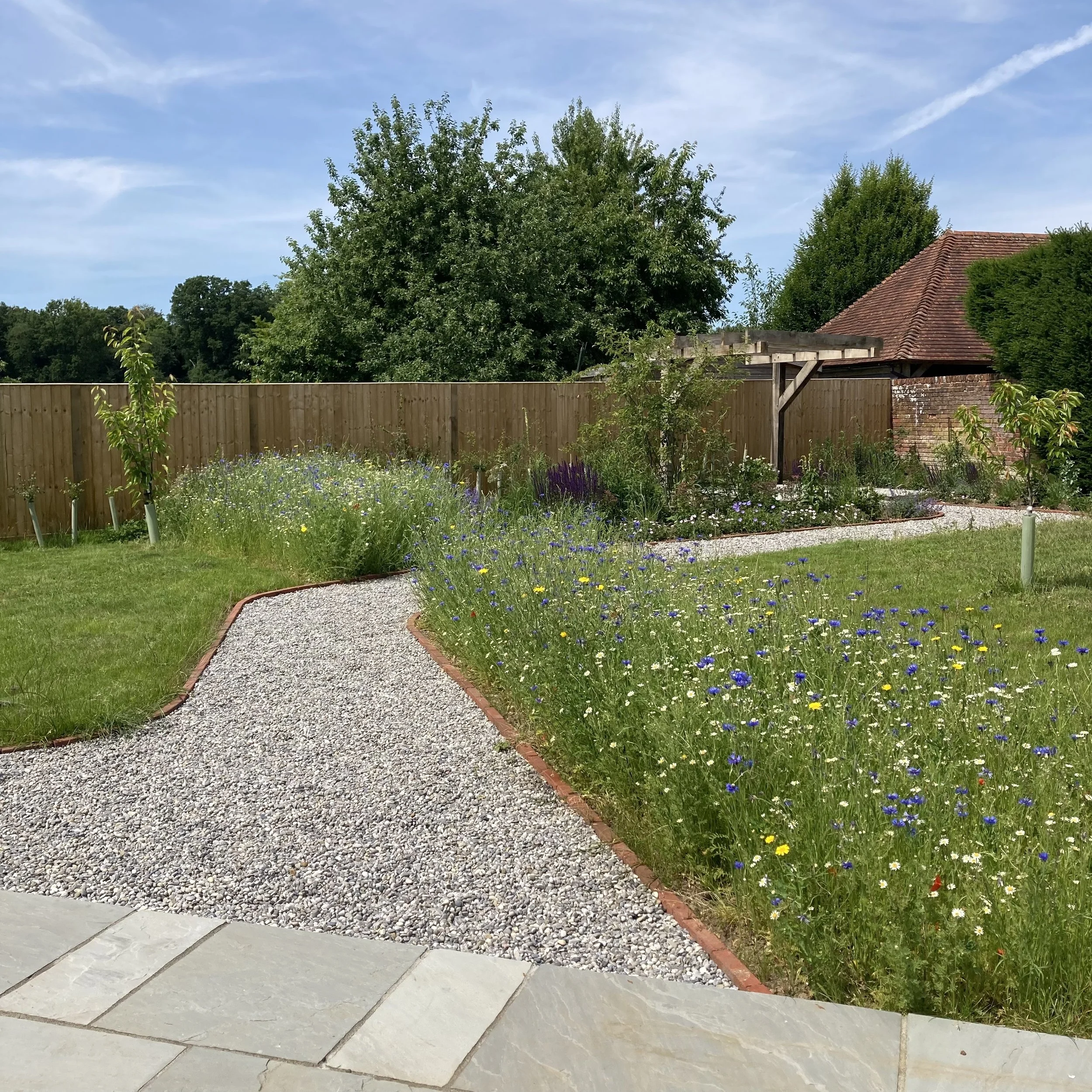 Wildflower meadow, garden design Prestwood