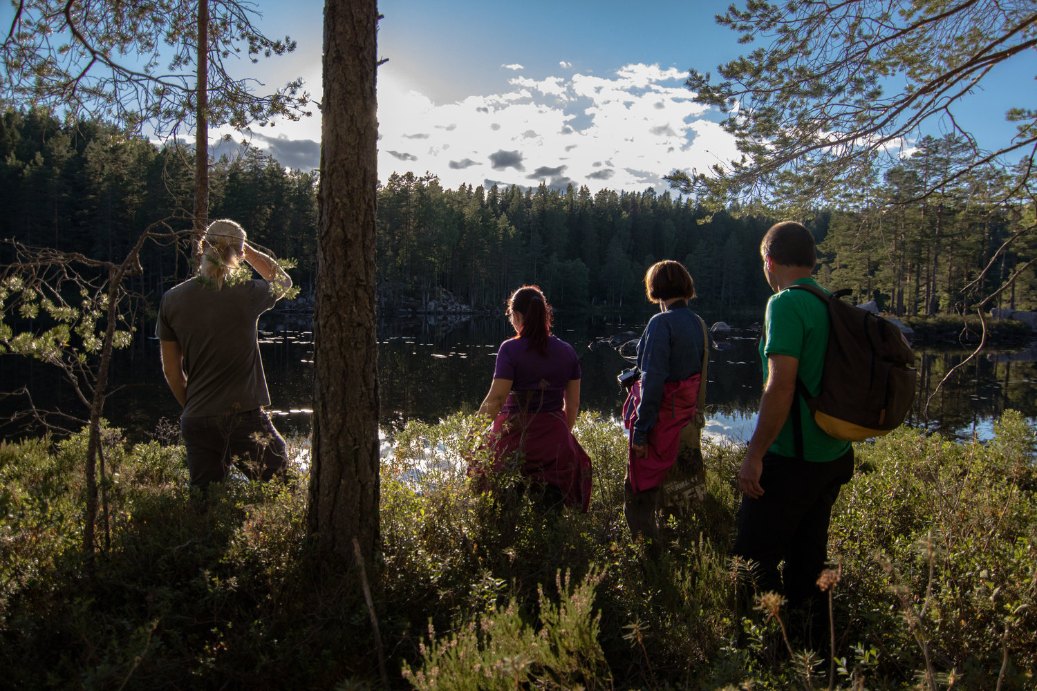 Summer trips & nature — - wildlife in Sweden
