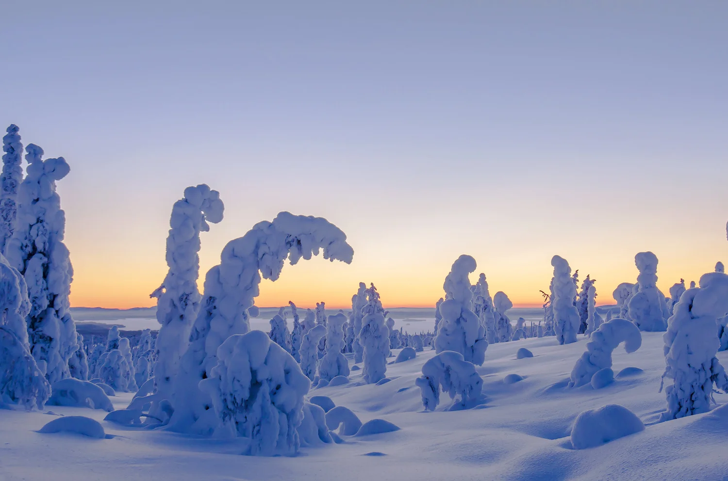 Packing list for Winter tours in Swedish Lapland — WildSweden