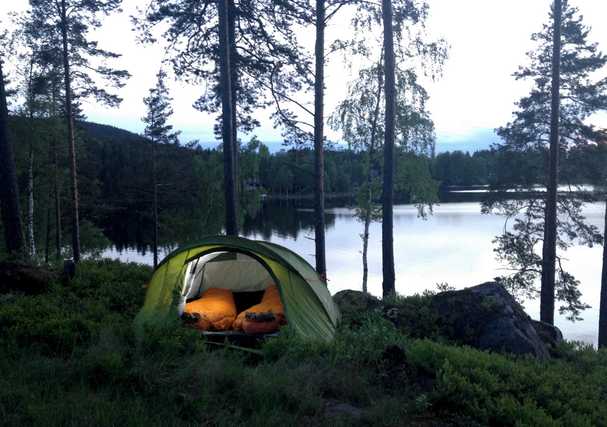 Wolf howling tour with night in tent — WildSweden - wildlife adventures in Sweden