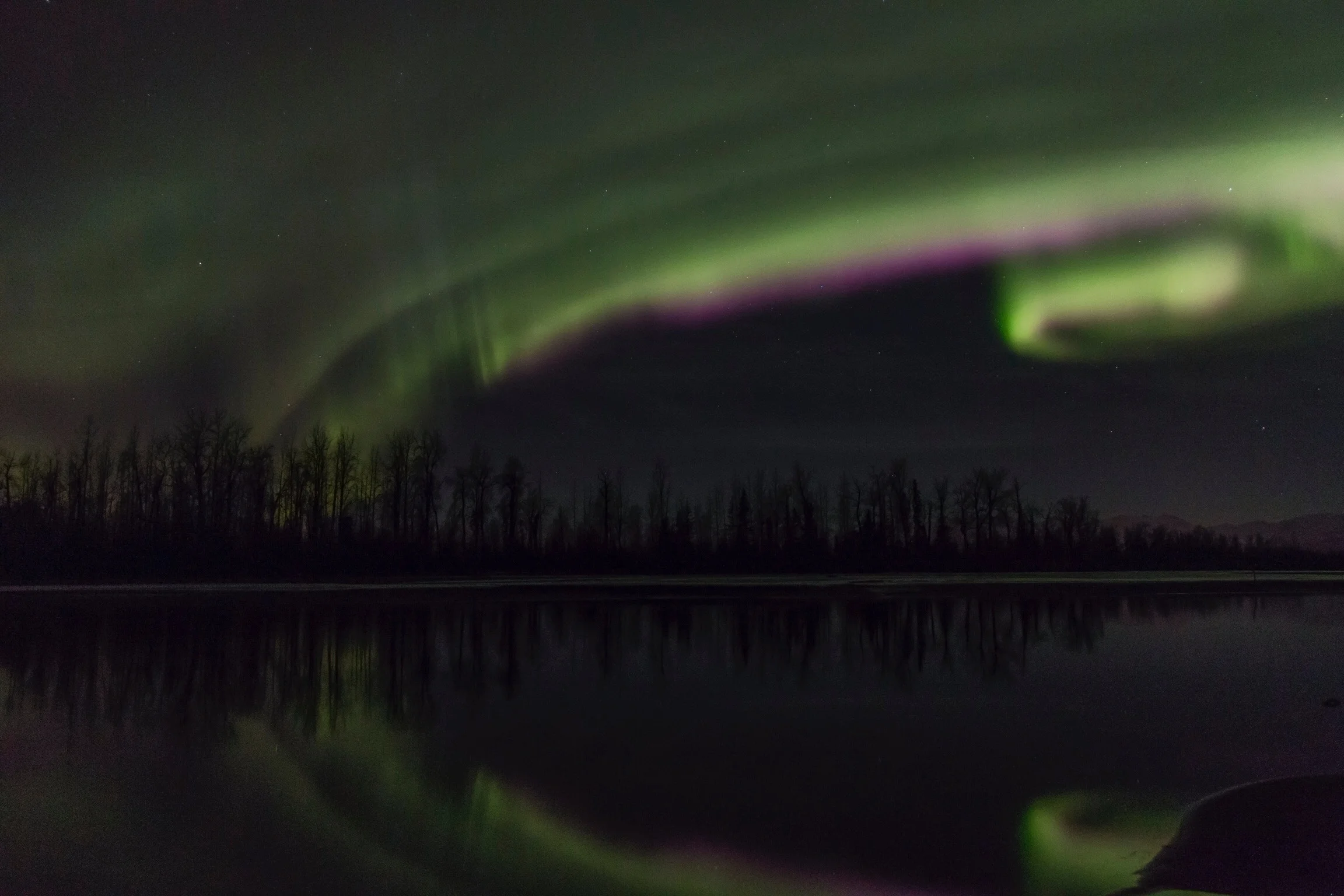 Northern Lights reflecting in lake during Autumn. Photo: Jonathan Wheeler