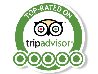tripadvisor-logo.png