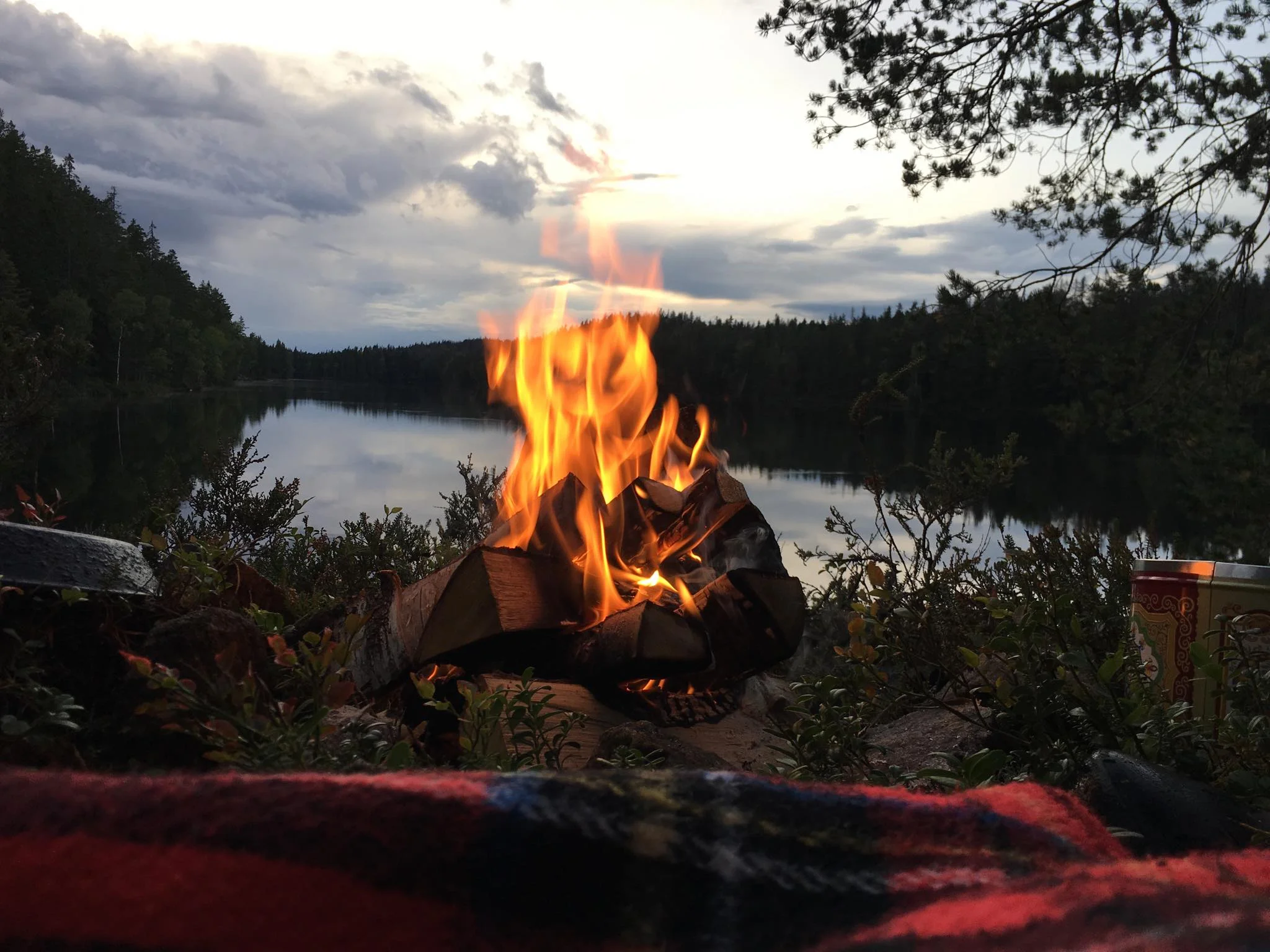 Wild Forest Retreat in Skinnskatteberg