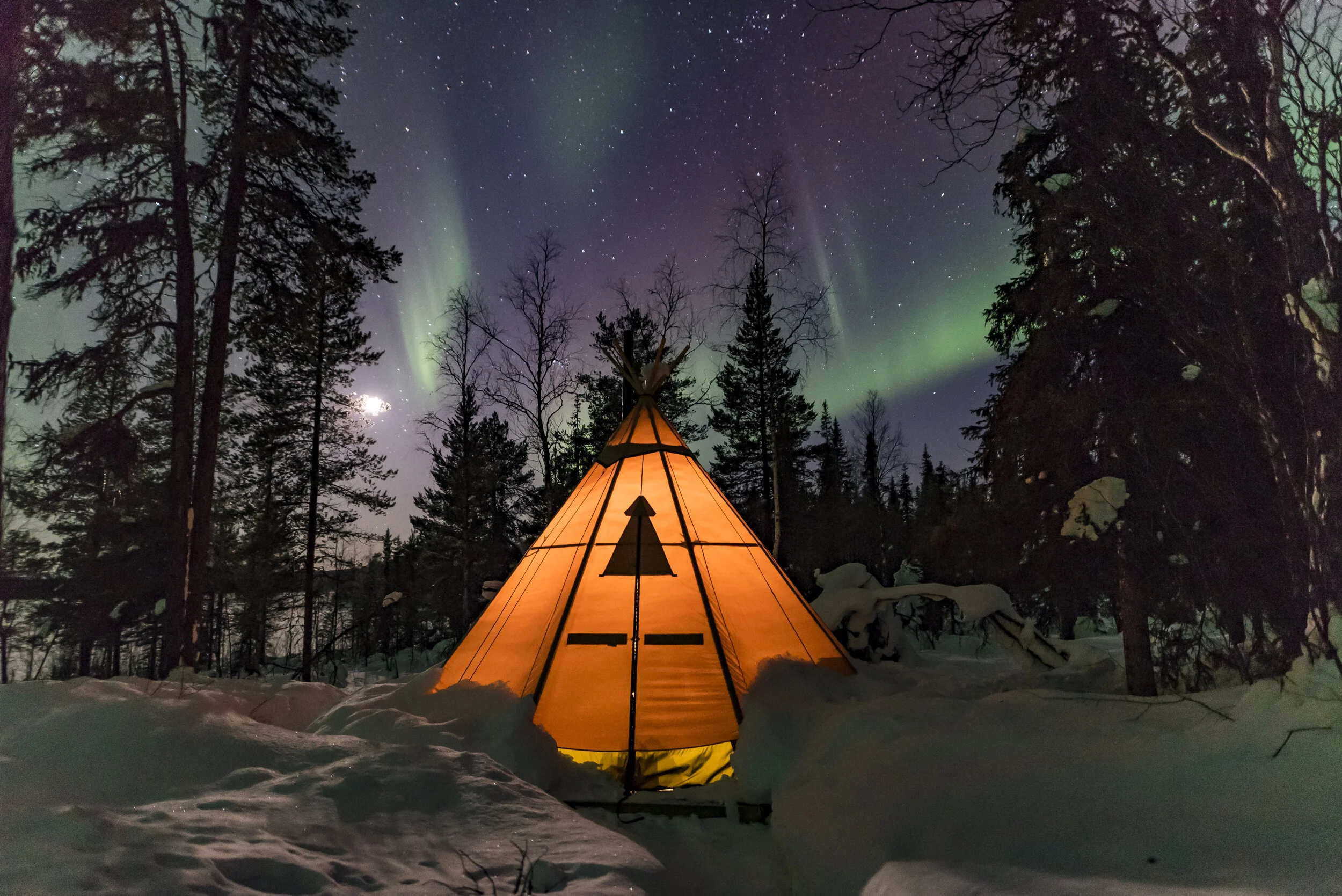 Northern Lights &amp; Wildlife in Swedish Lapland, 7 nights