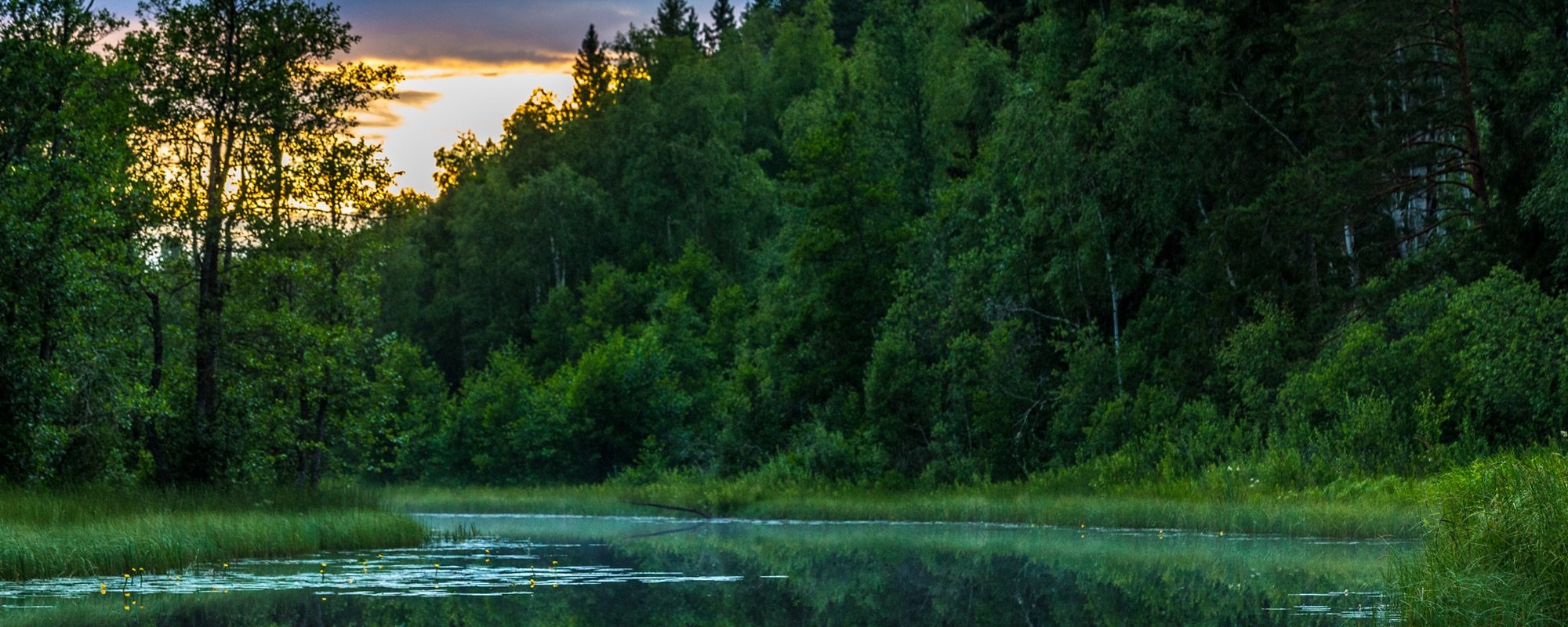 Beavers & Canoe – A Weekend in Färnebofjärden National Park