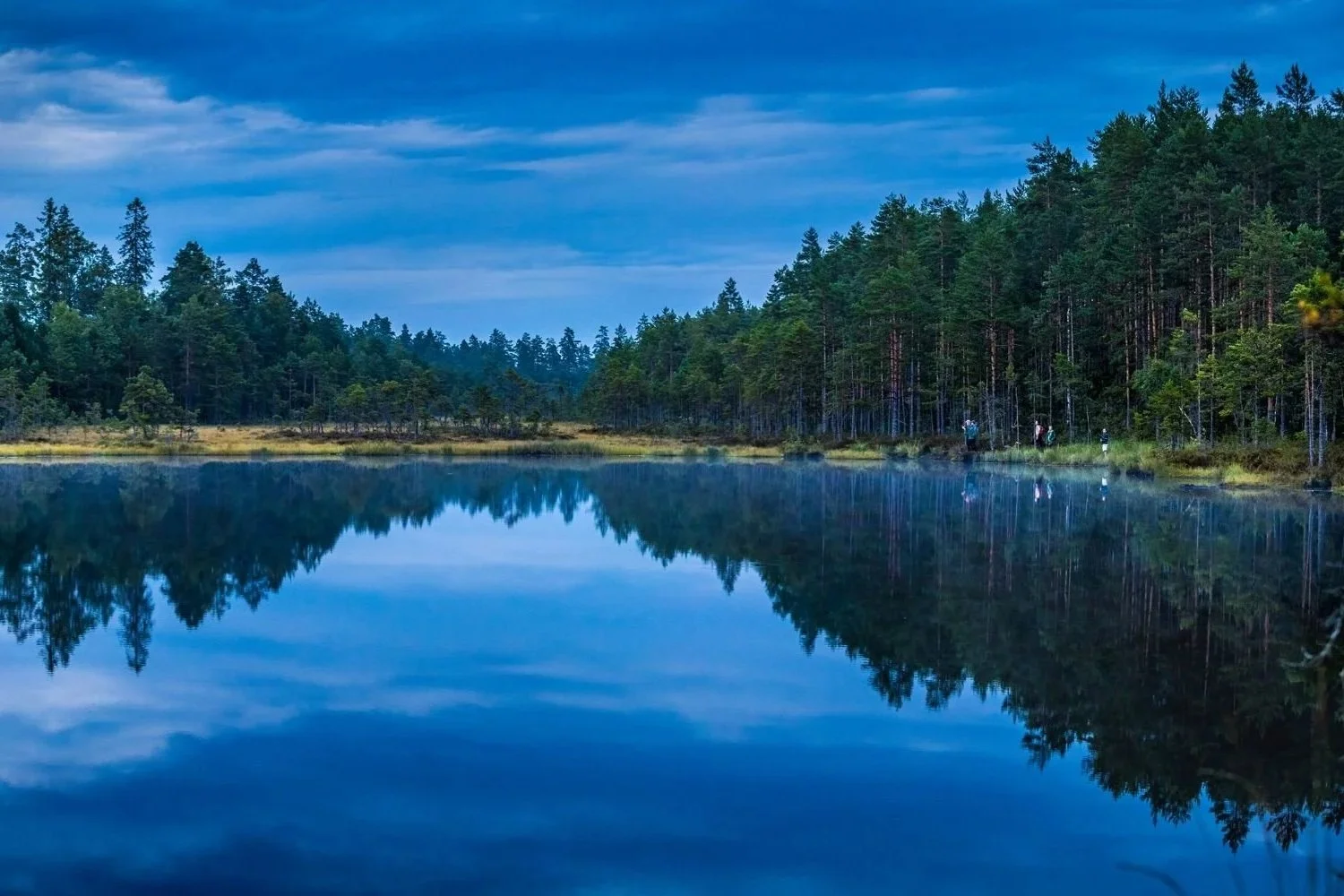 Moose and Beaver Family Adventure