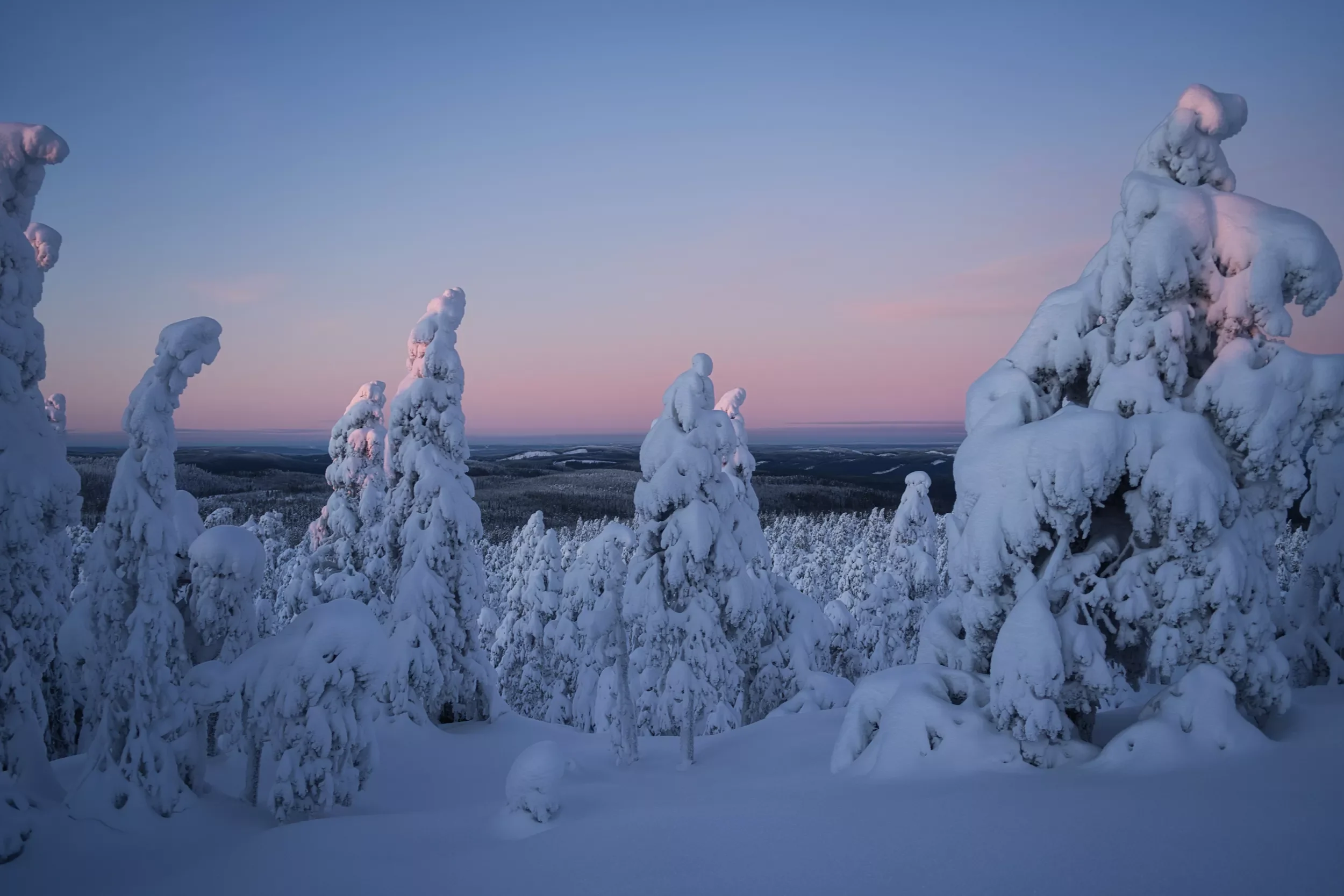 Tracks, Fire & Ice