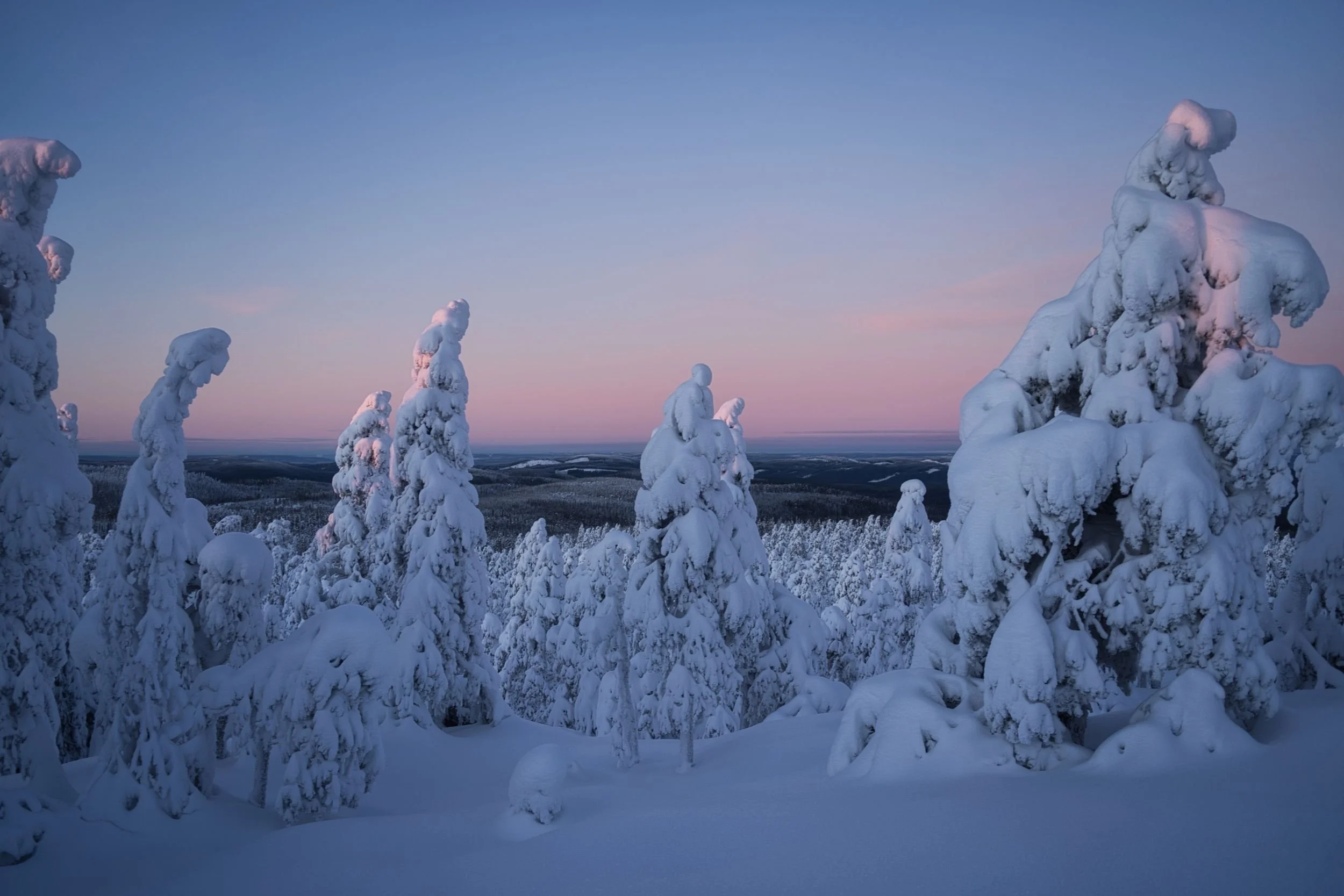 Tracks, Fire &amp; Ice