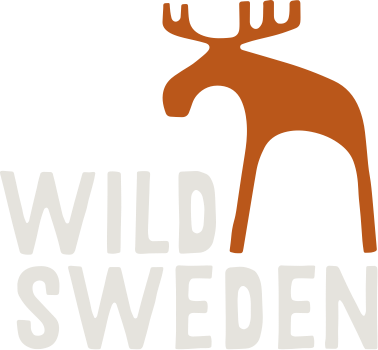 Wild animals in Sweden and where to see them — WildSweden - wildlife  adventures in Sweden