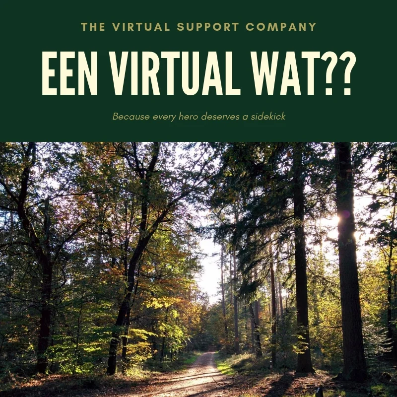 Een Virtual wat??