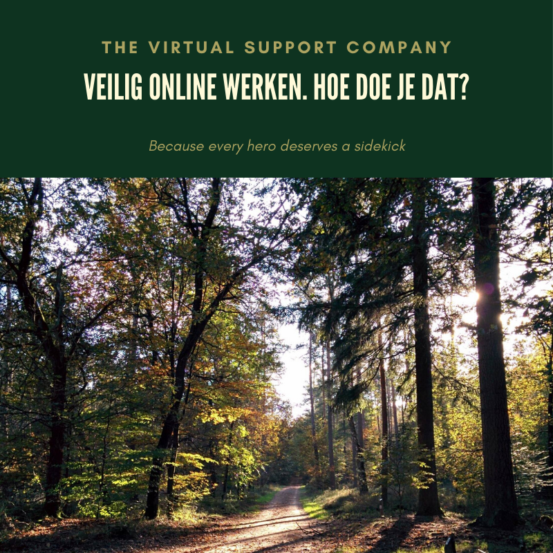 Veiliger online werken. Hoe doe je dat dan? 