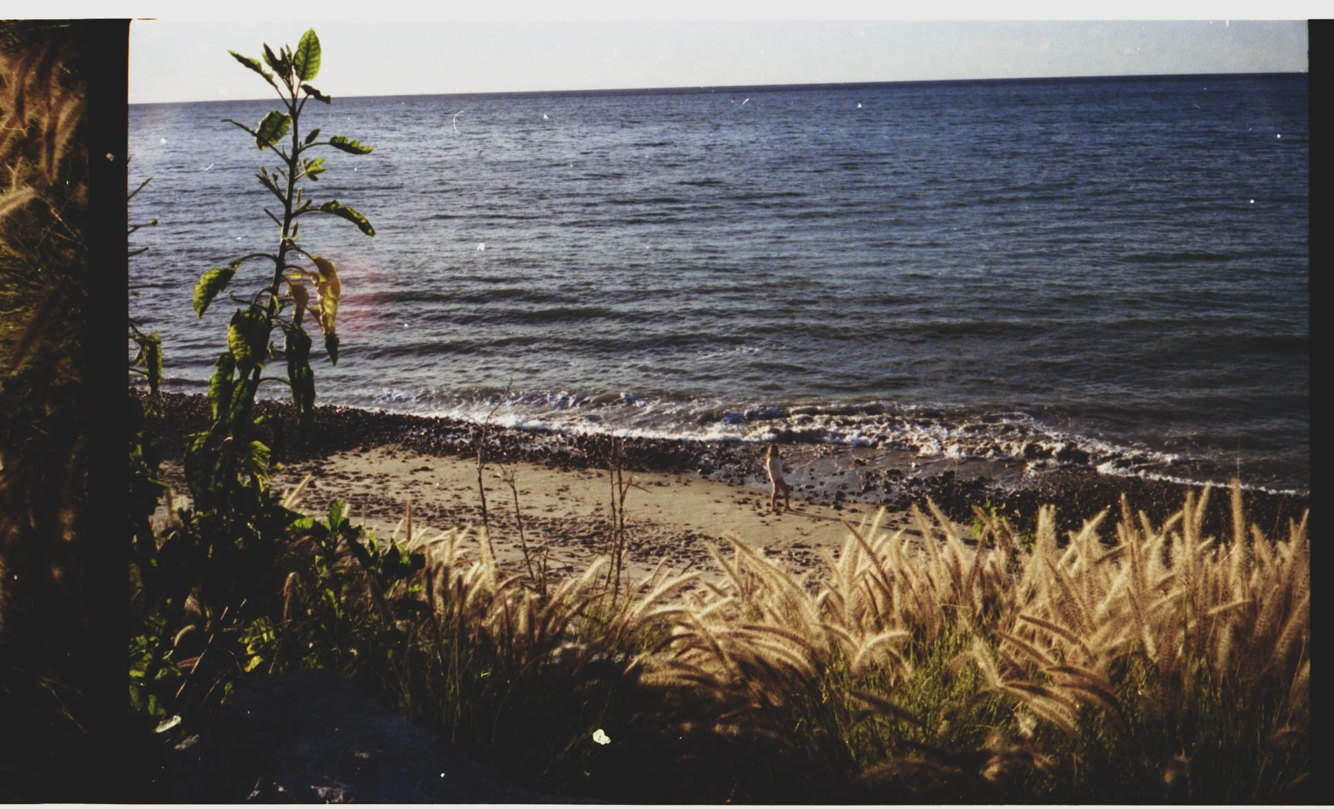 Scan 72.jpg