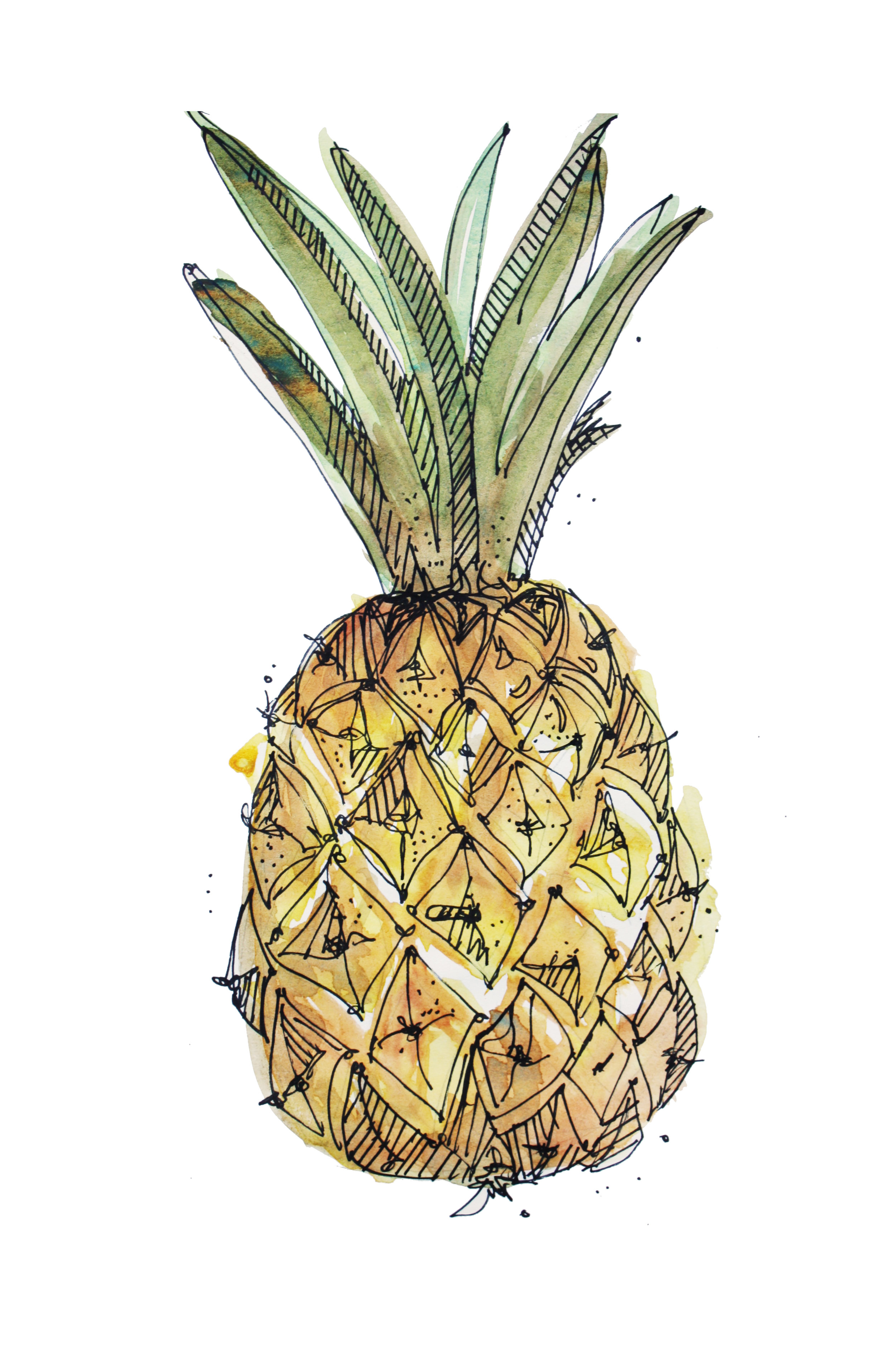 pineapple.jpg