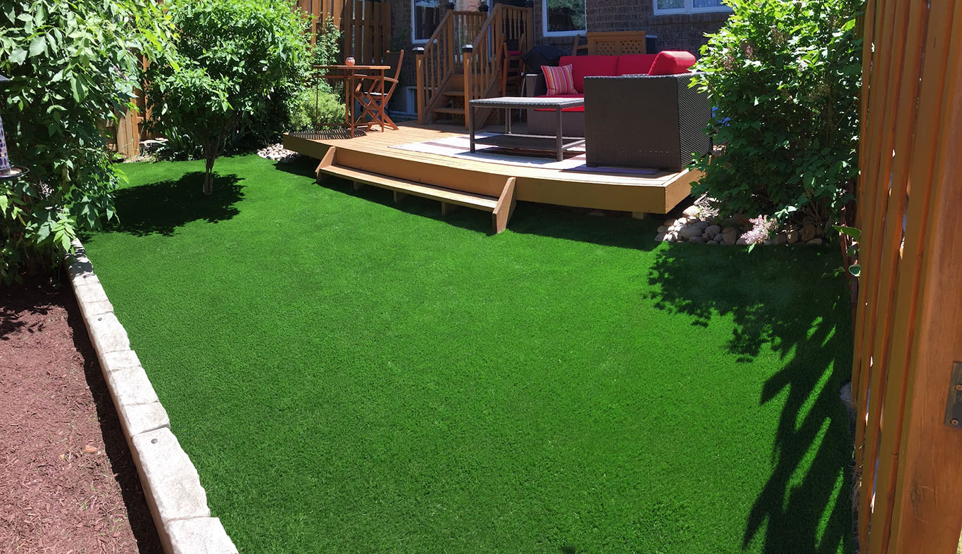 STObackyard-Web-71dpi.jpg