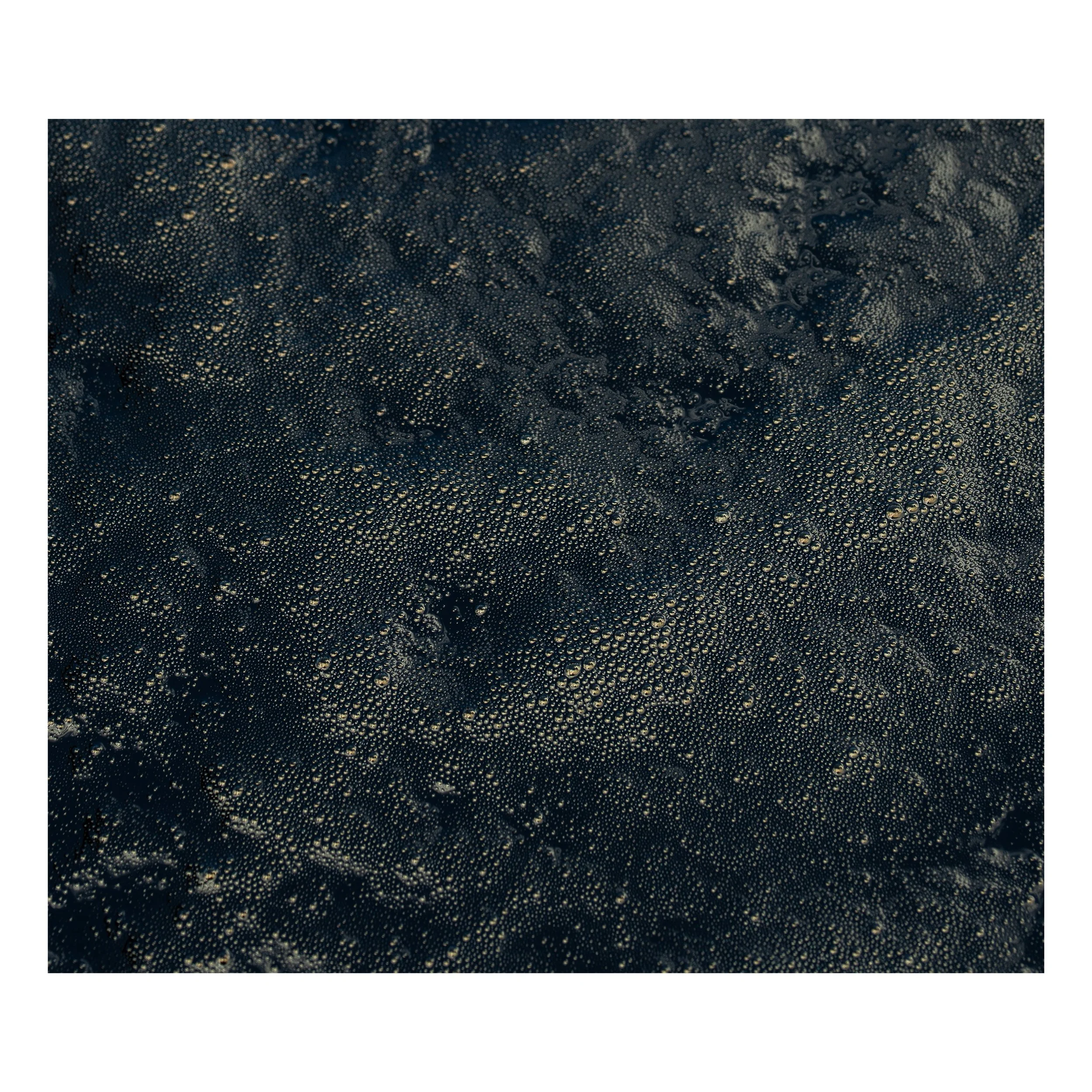 planches contact-03.jpg
