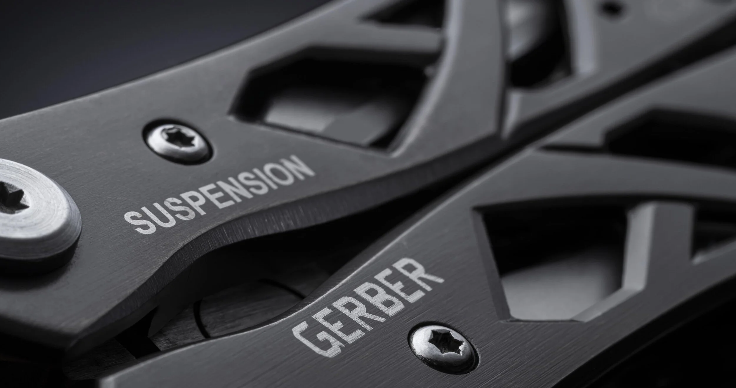 Gerber+two+#5.jpg