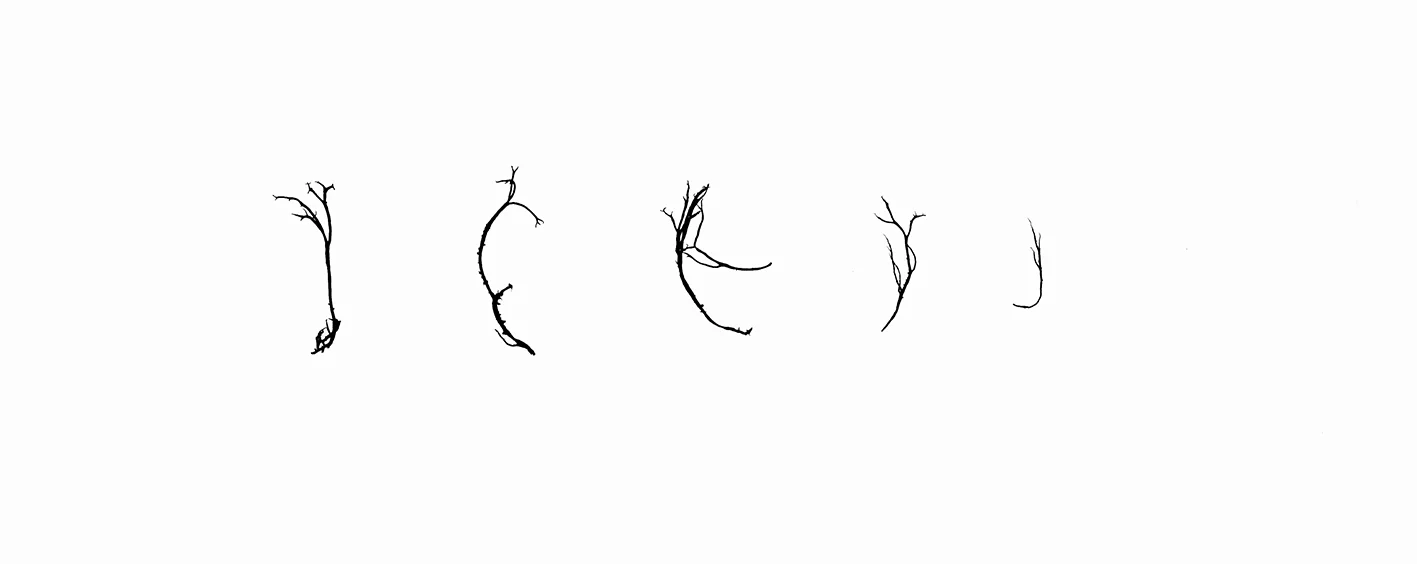 Signatures