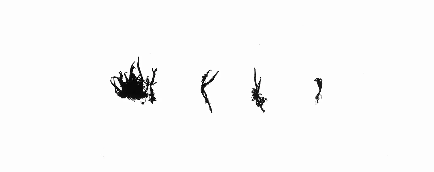 Signatures