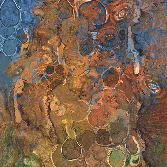 Conciliateur 1
