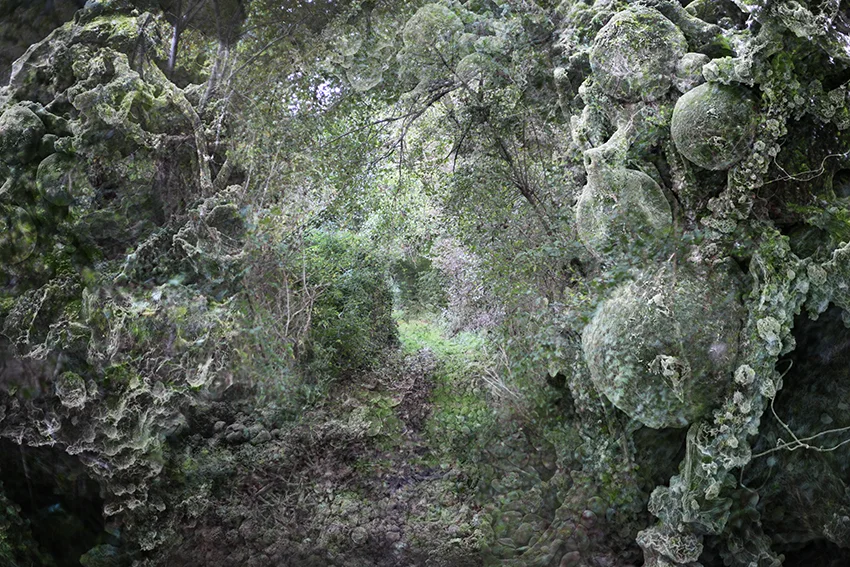 Paysage SP_13