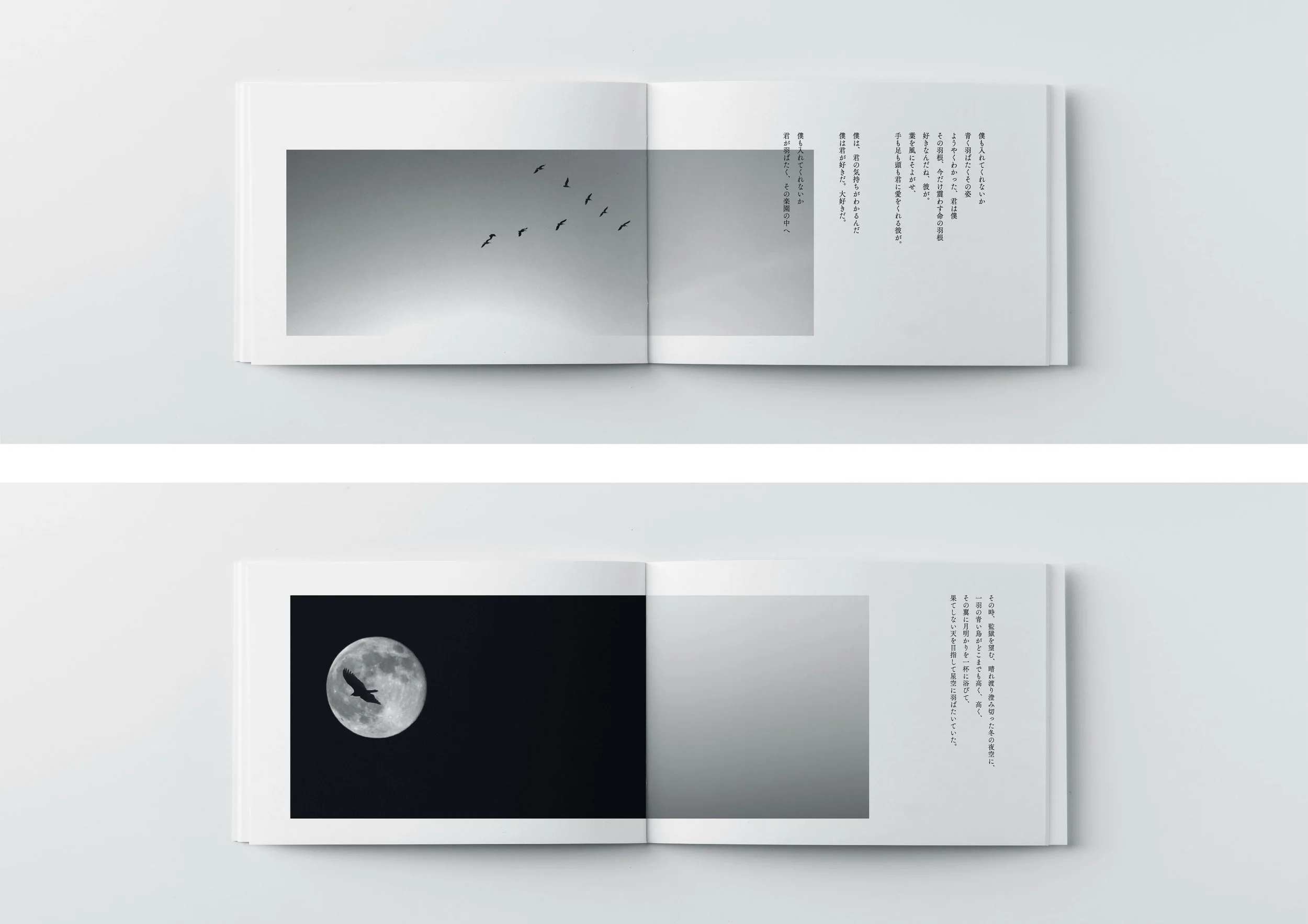 BS_06+.jpg