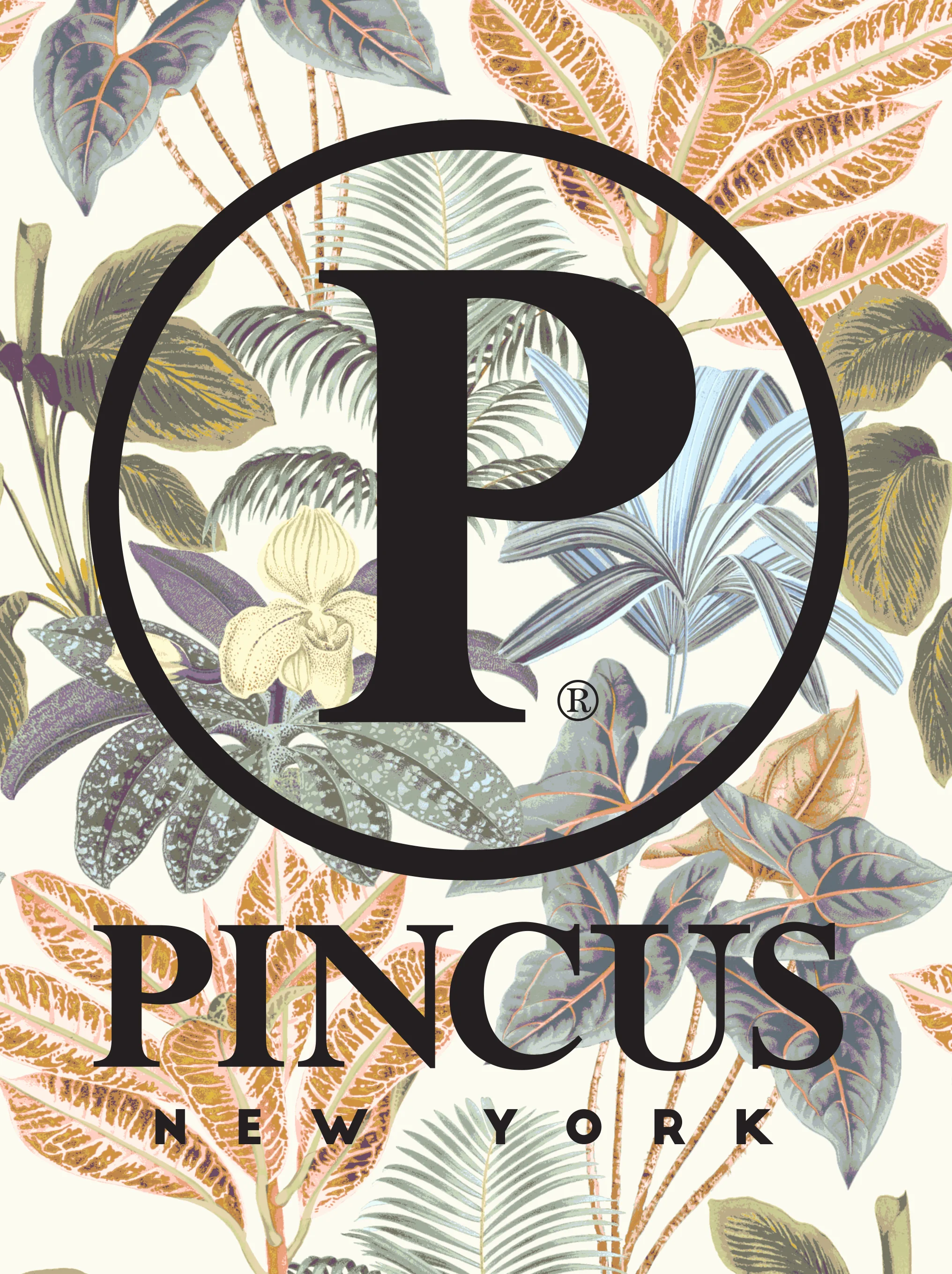 PINCUS