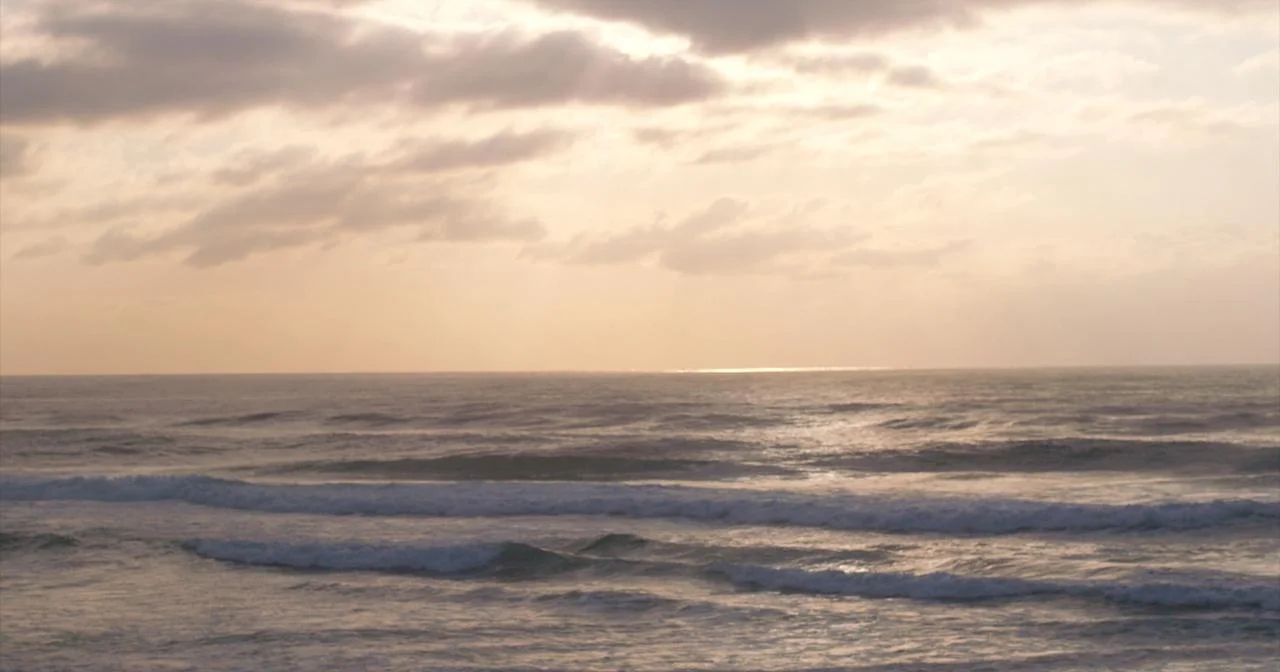 170823_CAPFIN 21.jpg