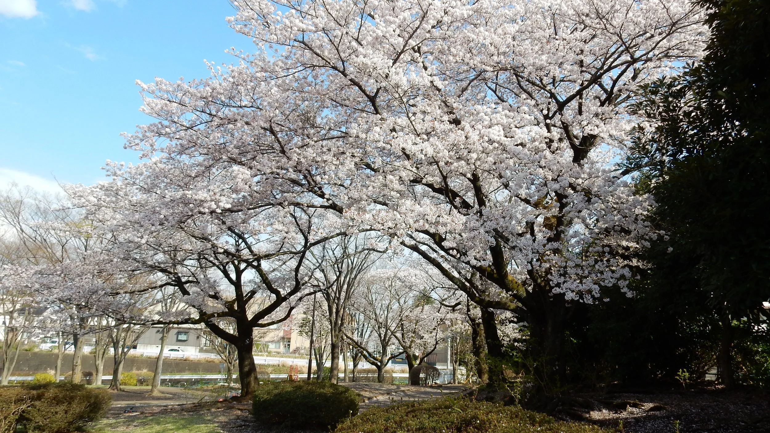 DSCN0627.JPG