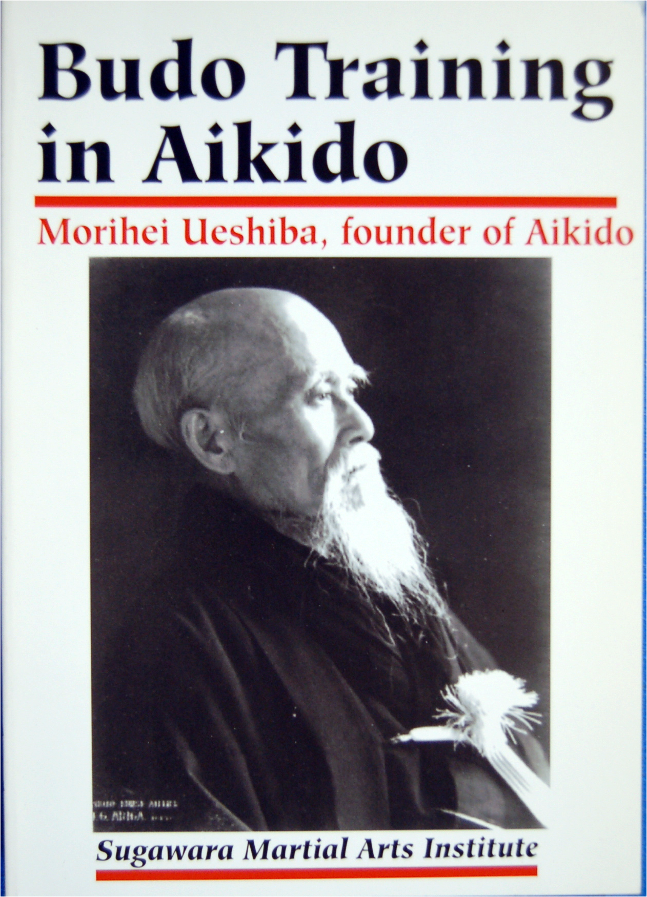 Budo Training in Aikido.png