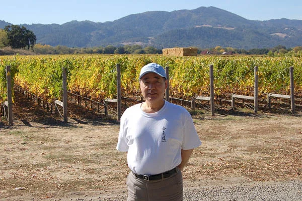 Silver-Oak-Vineyards.jpg