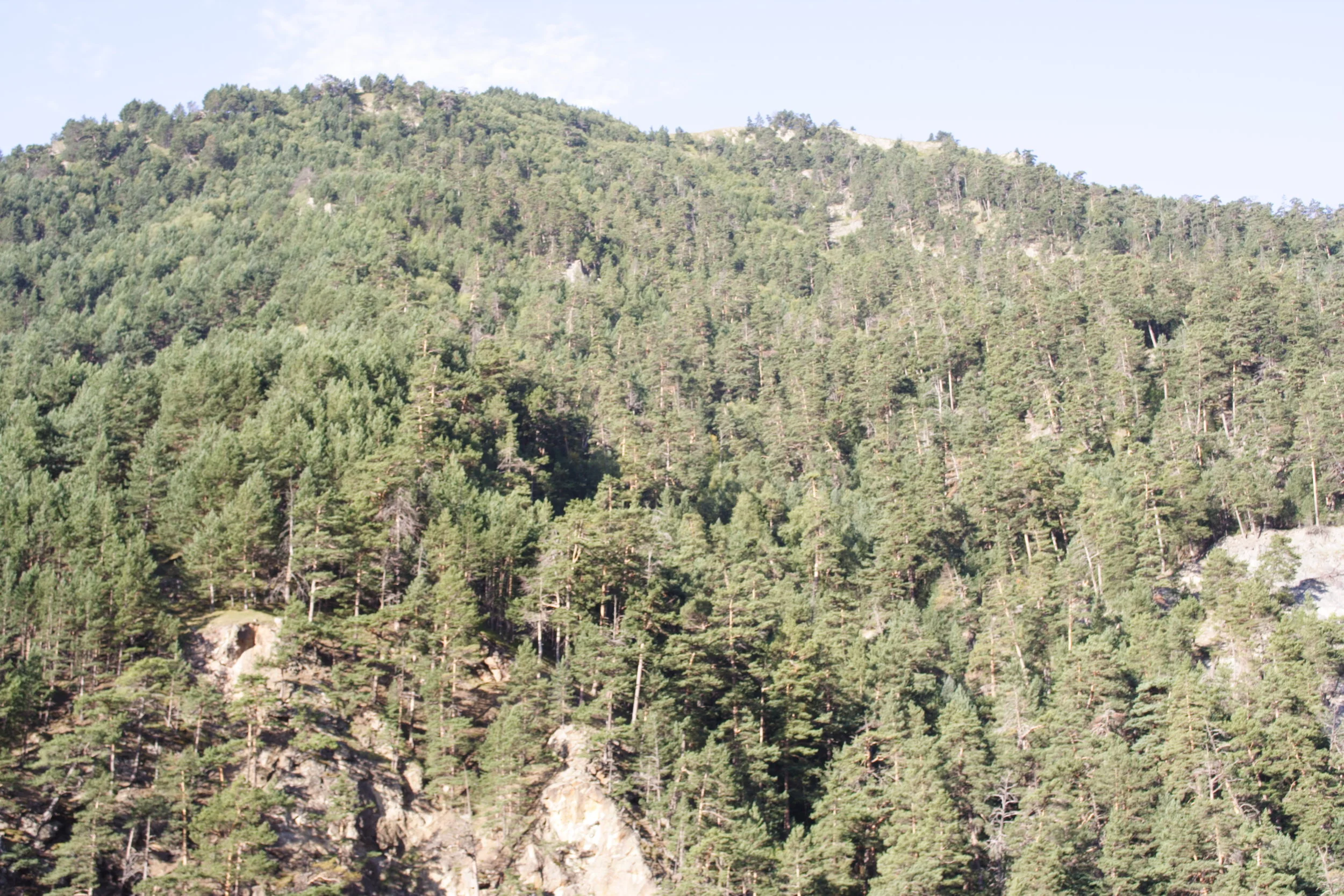Caucas_048.JPG