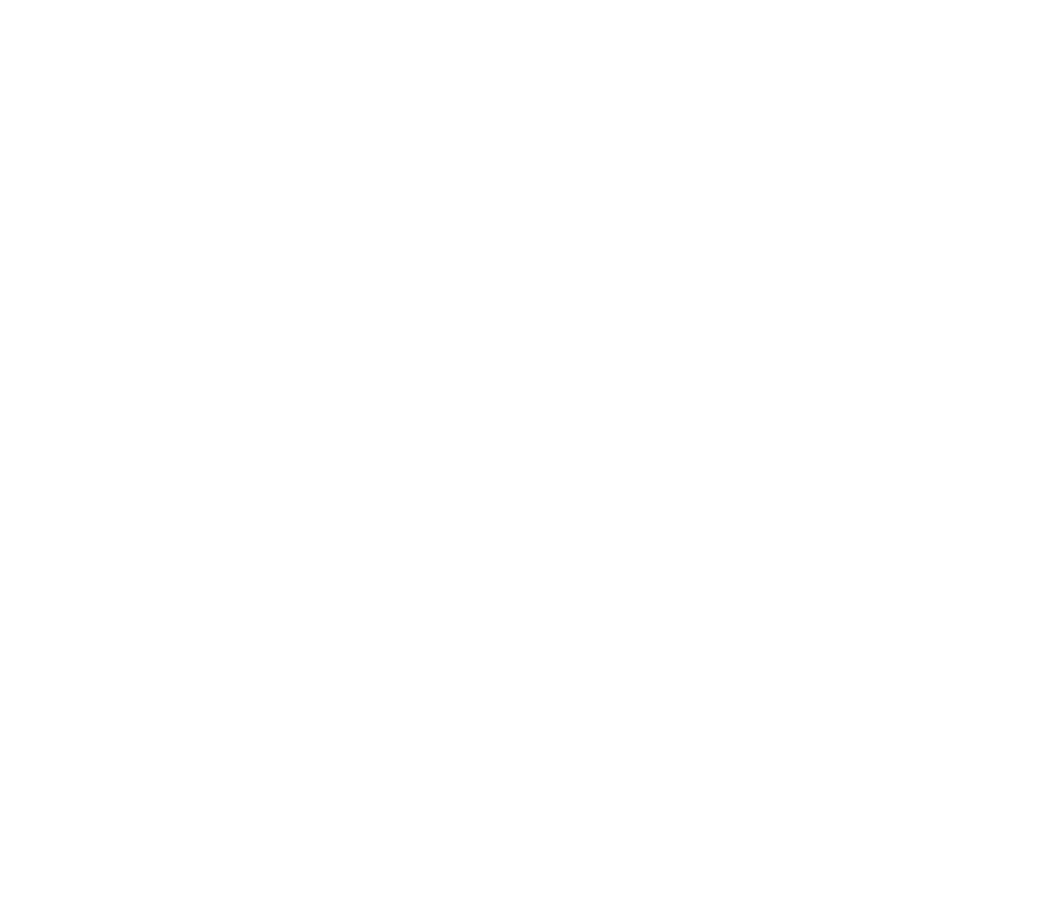 Braven Group
