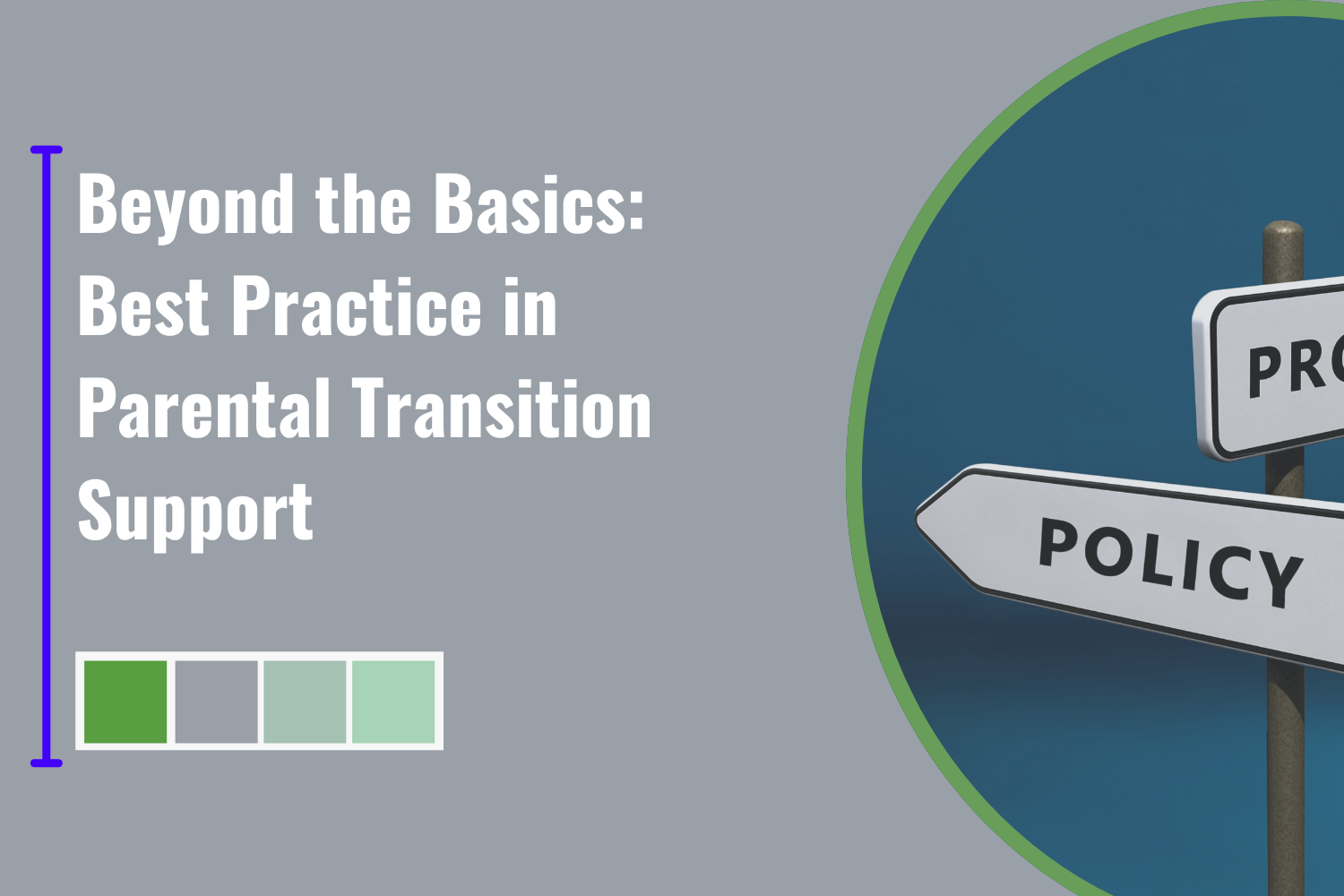 Beyond the Basics: Best Practice in Parental Transition Support