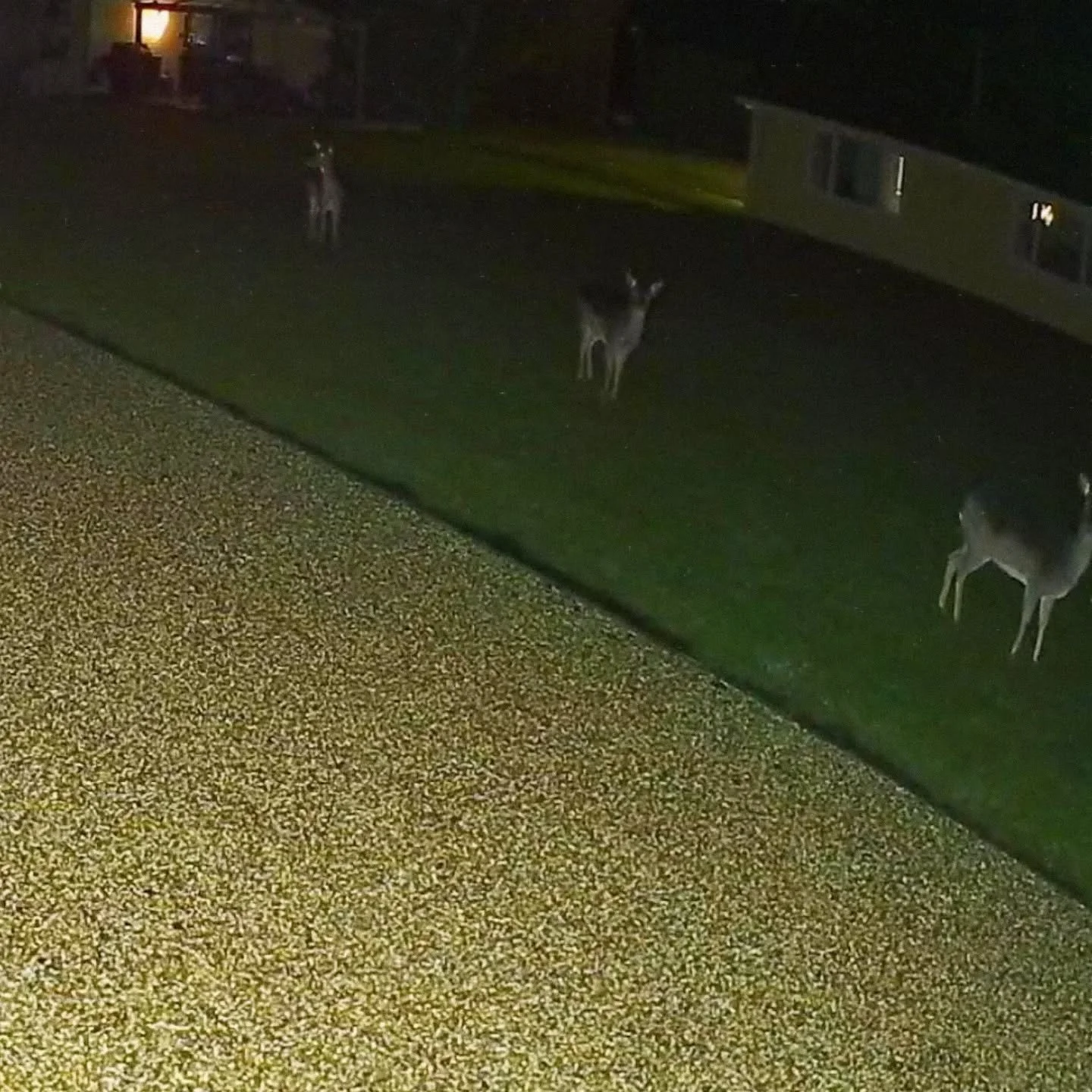 We know it is an indictable offense to mention Christmas in June, but we thought you should know we have already taken bookings for December 2025. If you're thinking about having a boogie this festive season.....you know what to do ☃️

Also, this is 